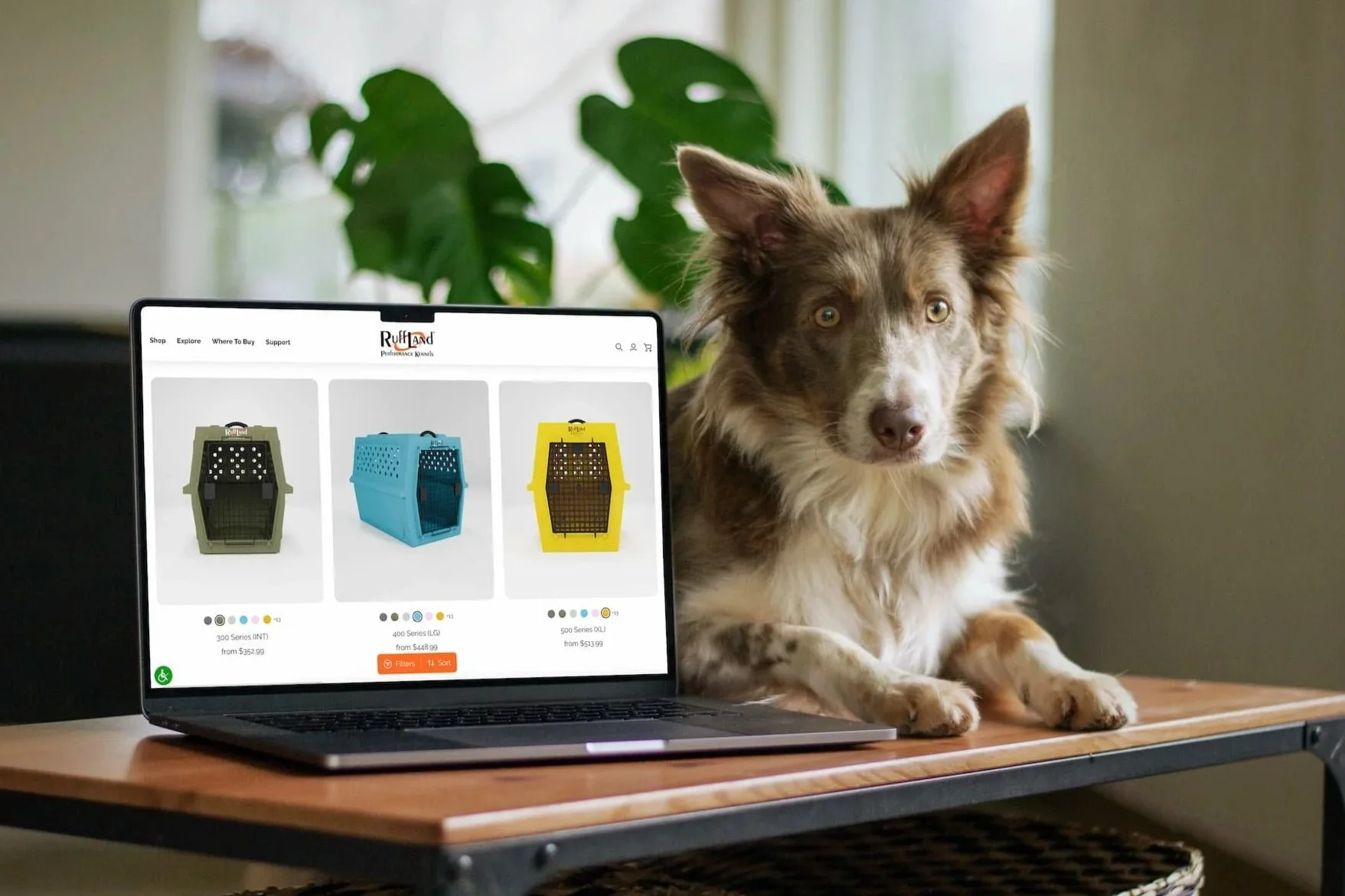 Ruffland Kennels website mockup with dog