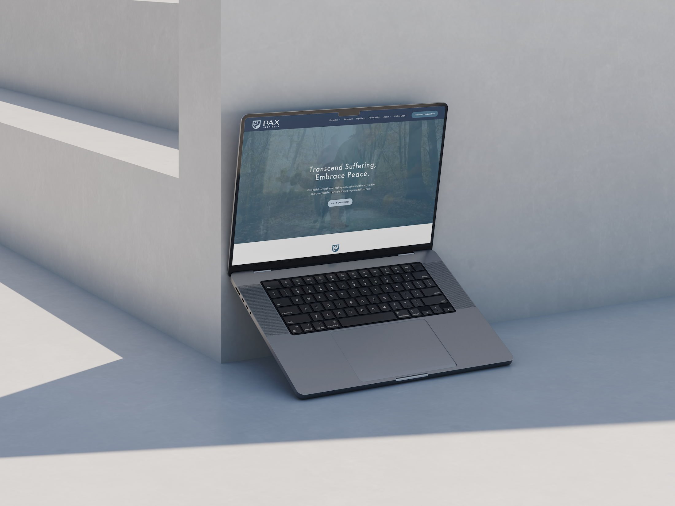 PAX Institute website in a mockup