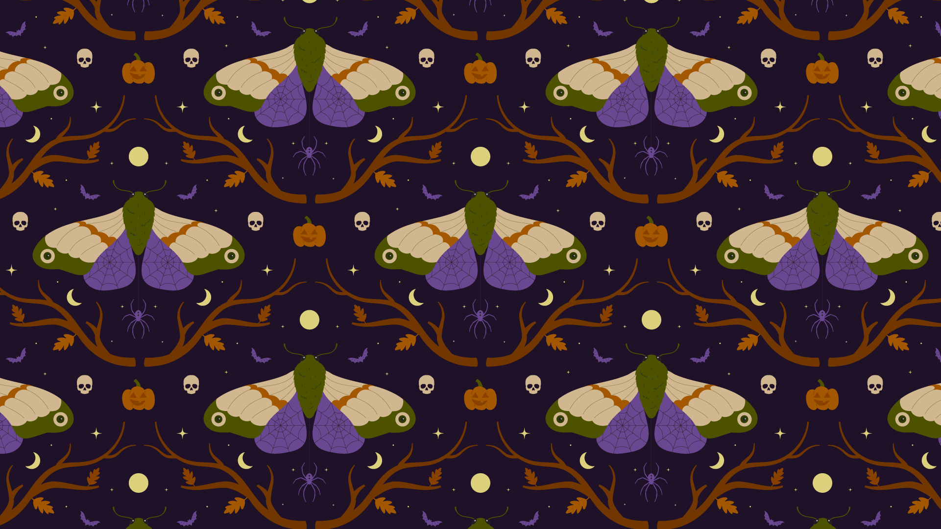 Moth illustration