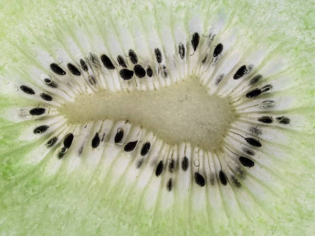 kiwi