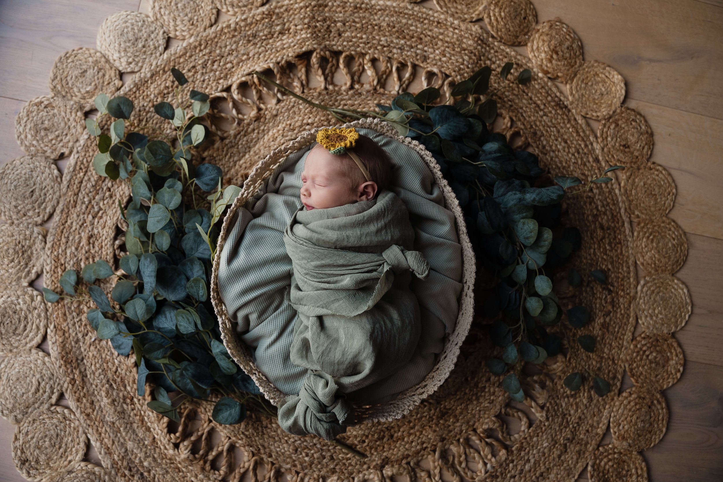 Normal-IL-Liz-Walsh-Photography-Newborn-Posed.jpg