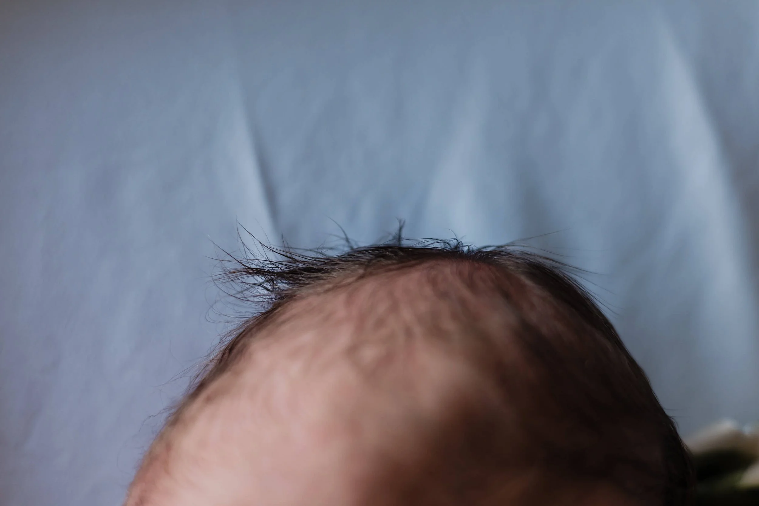 A detail shot of newborn baby hair