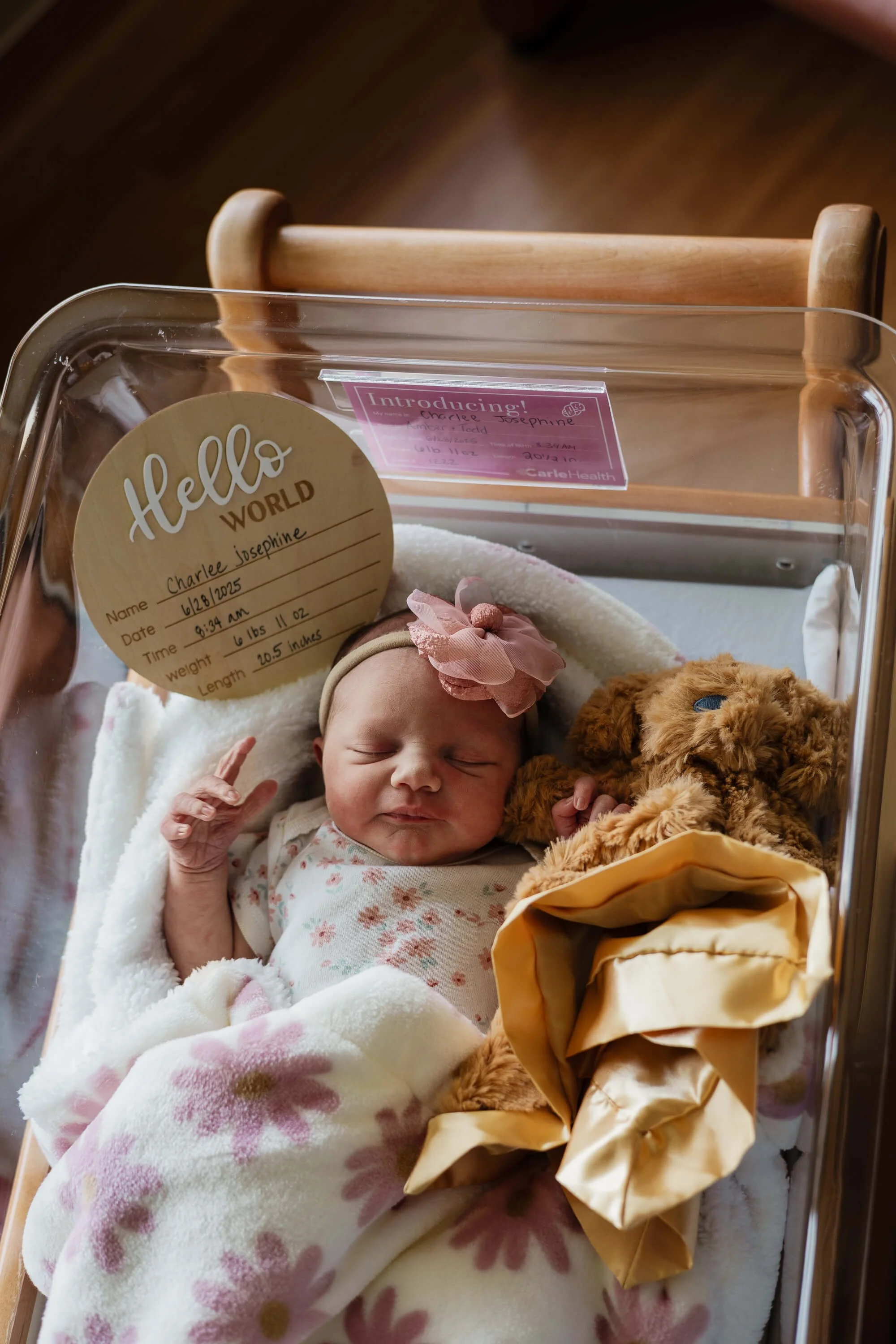 A newborn sleeps peacefully in a bassinet with a teddy by her side