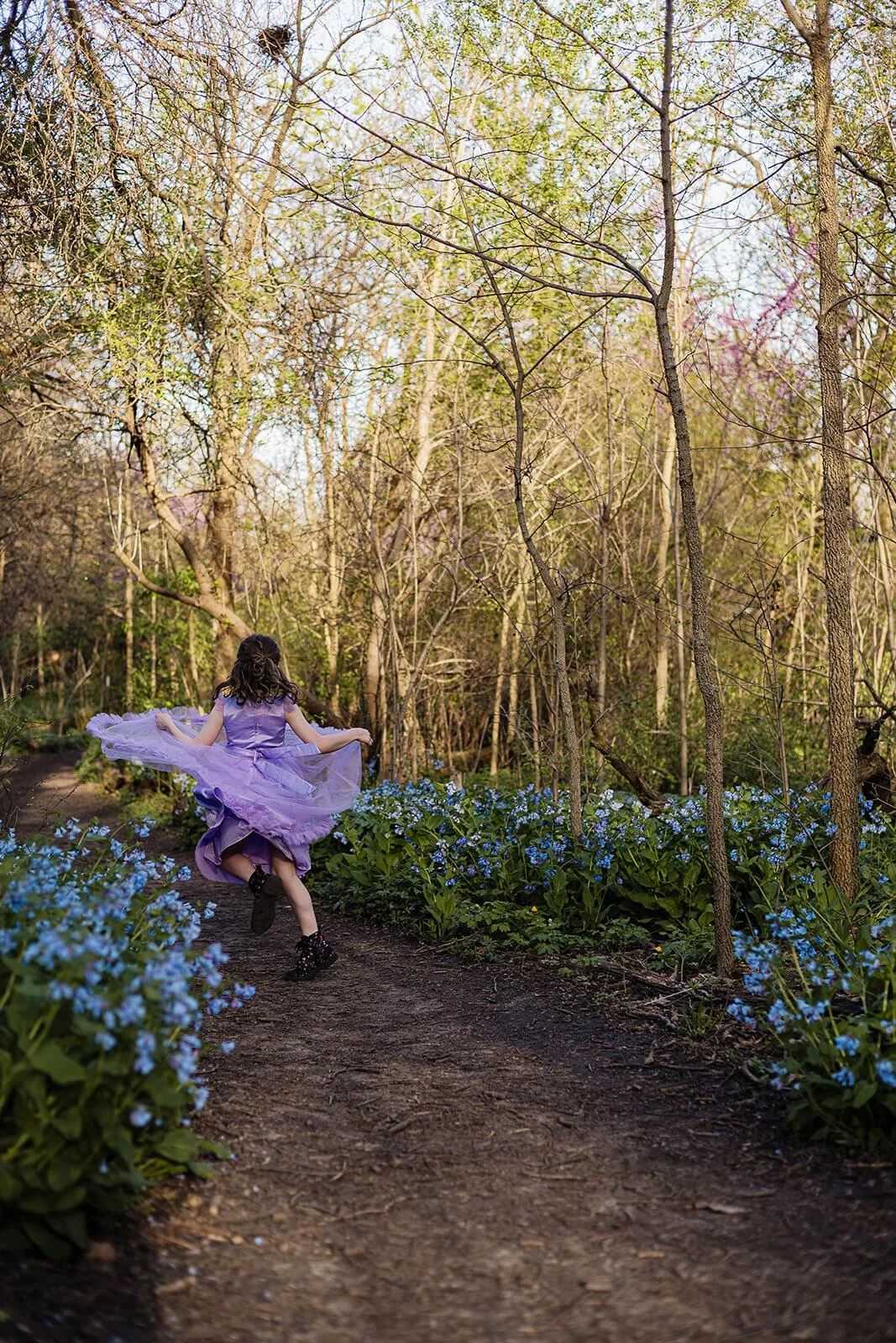 Bluebells-1_websize.jpg