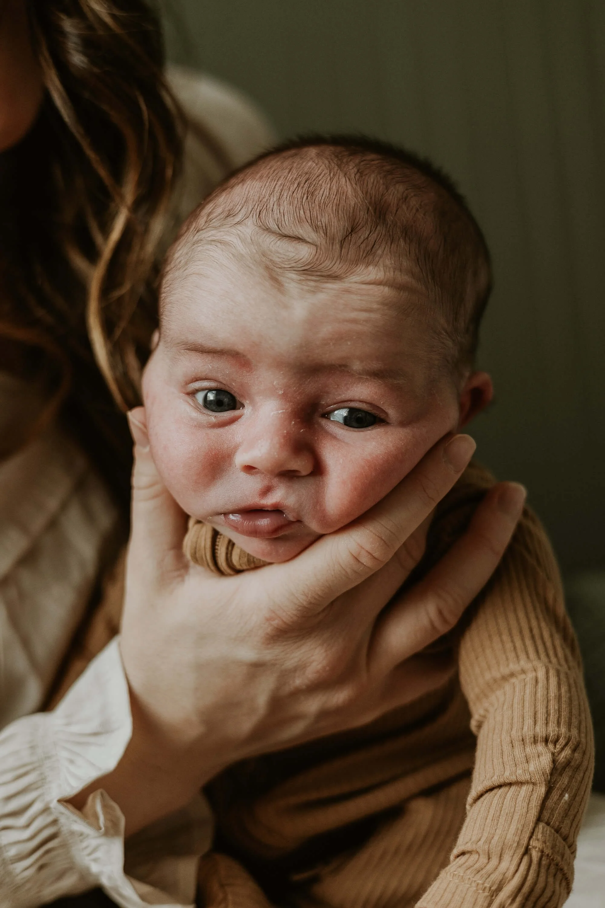 Newborn-In-Home-Session-Hudson-IL-Liz-Walsh-Photography.jpg