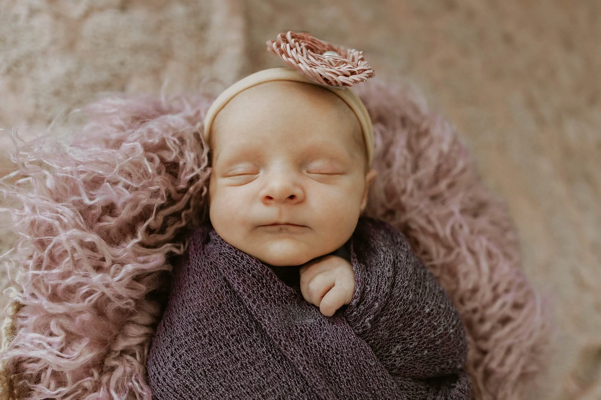 Liz-Walsh-Photography-Newborn-Posed-Bloomington-IL.jpg