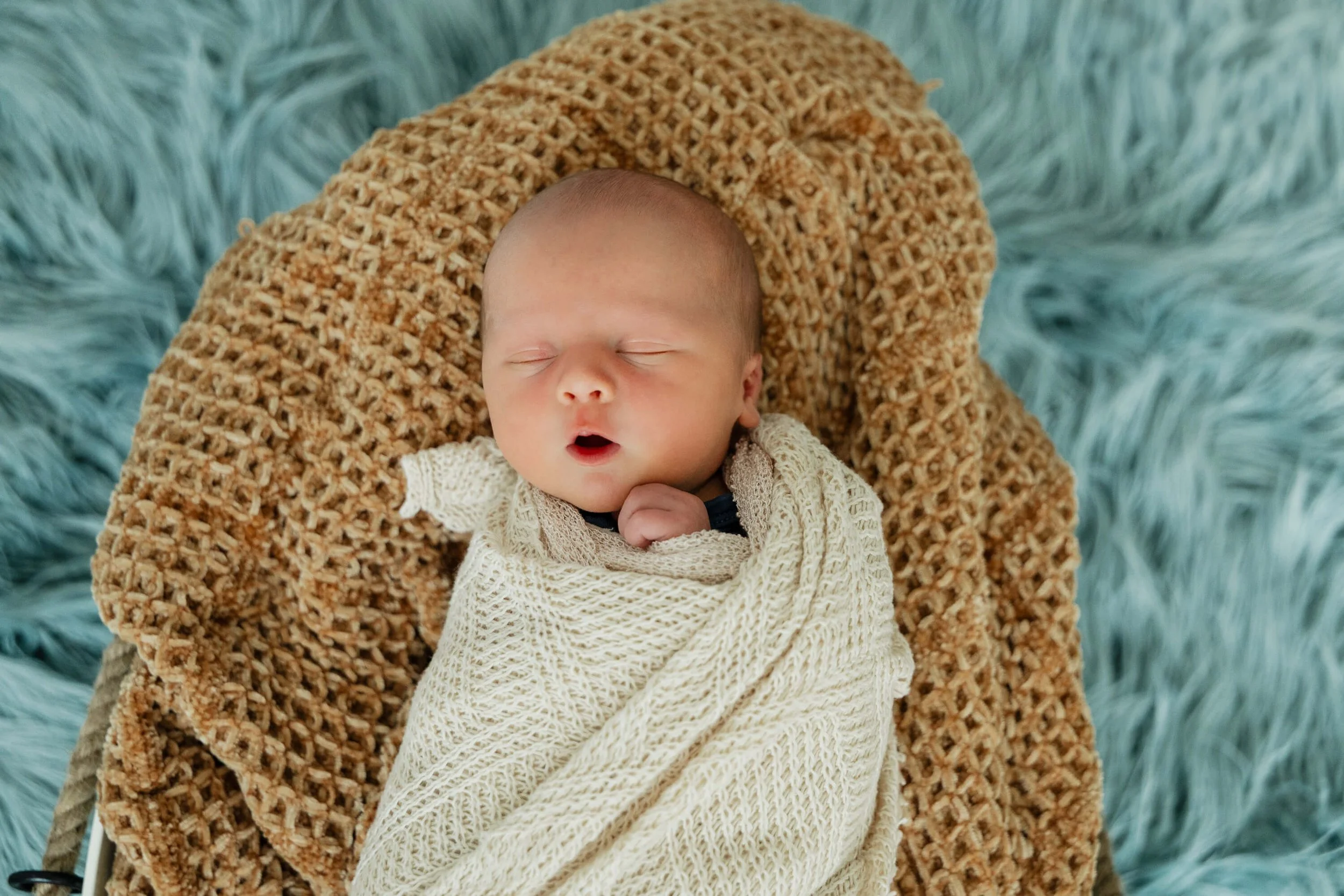 Posed-Newborn-Bloomington-IL-Liz-Walsh-Photography.jpg