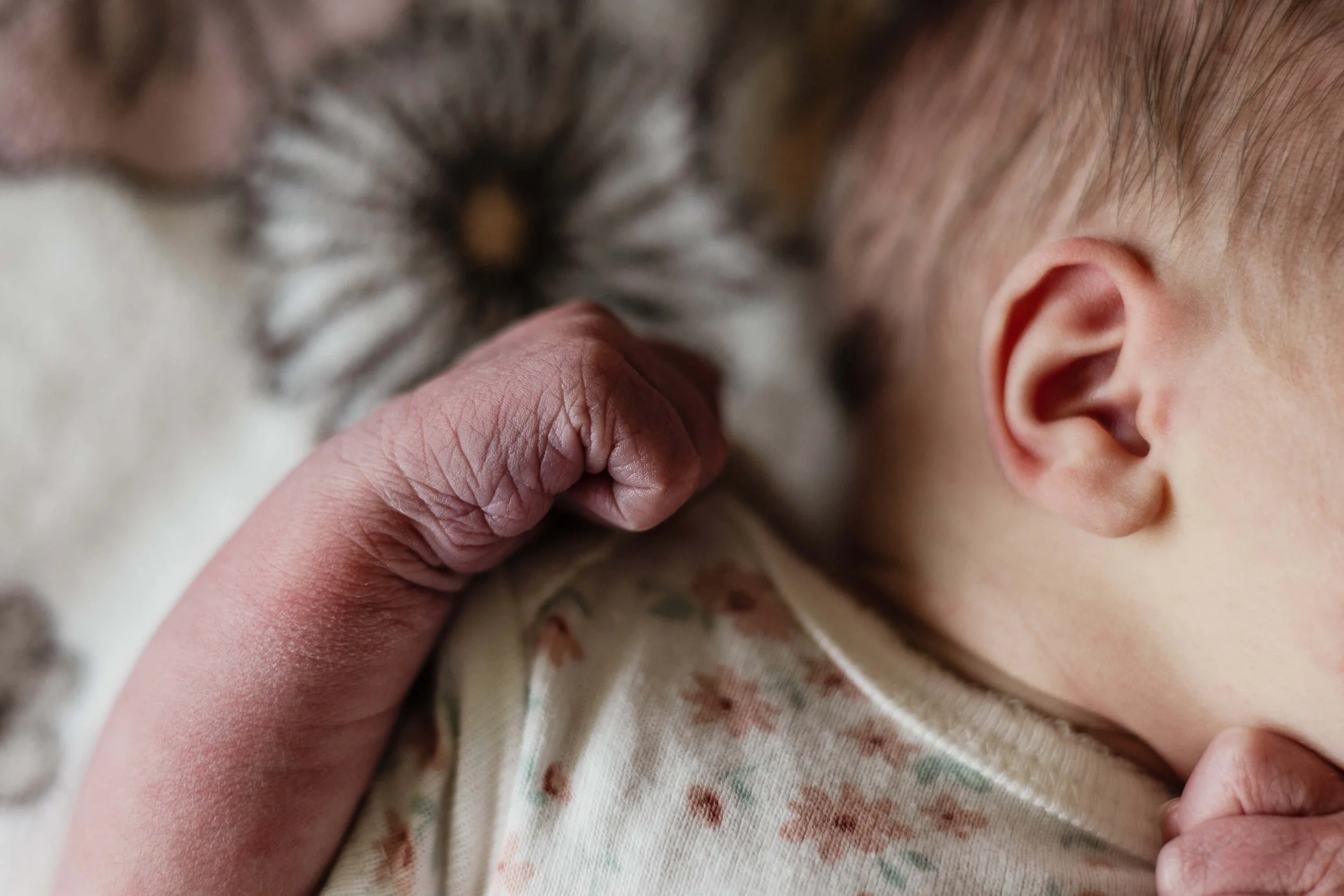 A detail shot of a newborn fist and ear