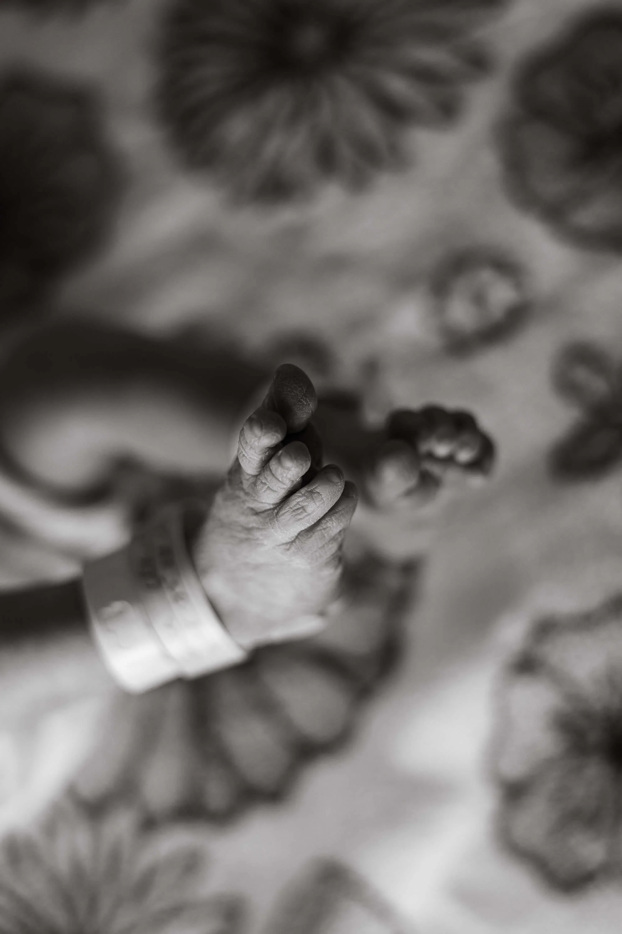 A black and white detail of baby toes and hospital alarm bracelet on her ankle