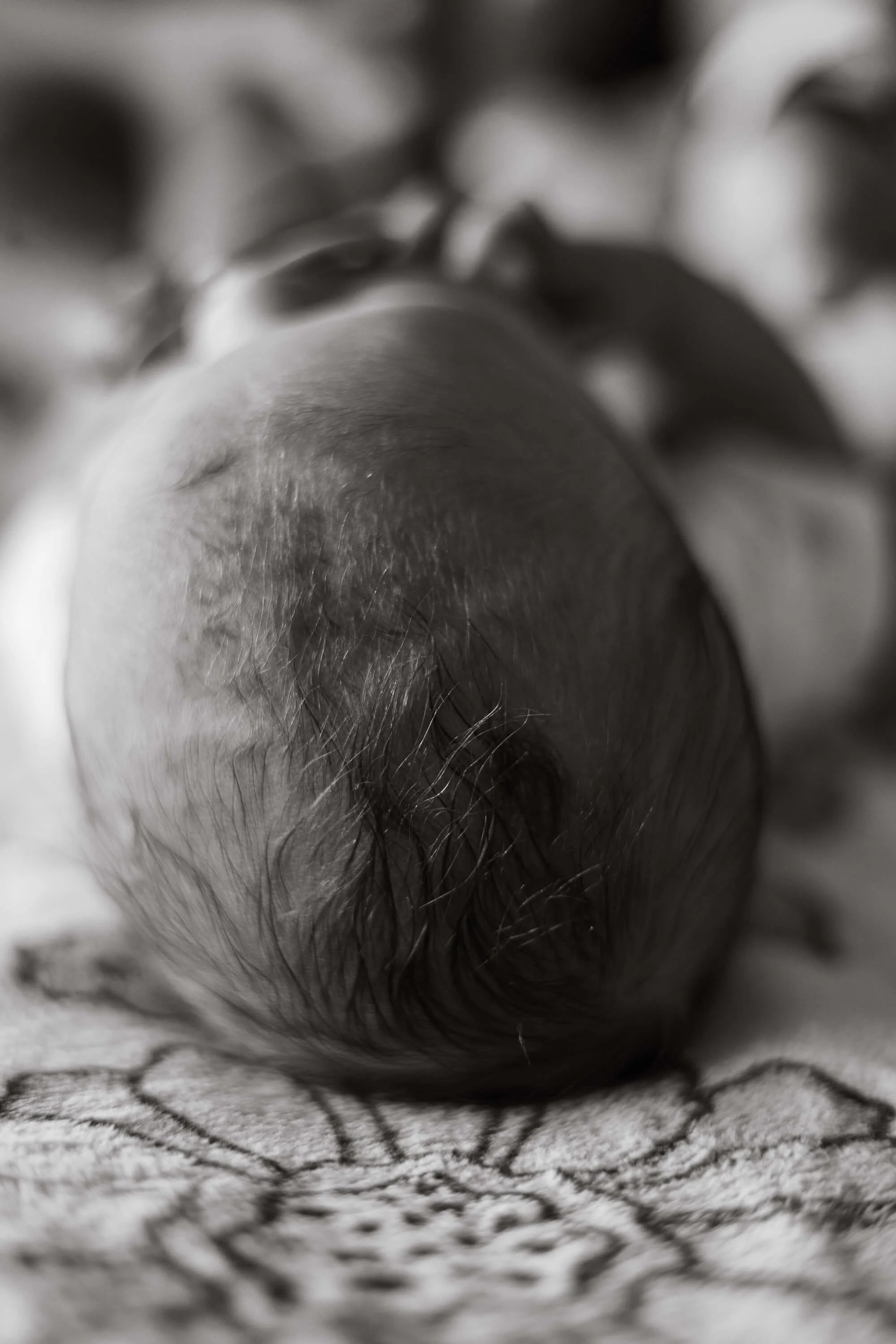 A black and white close up of newborn hair