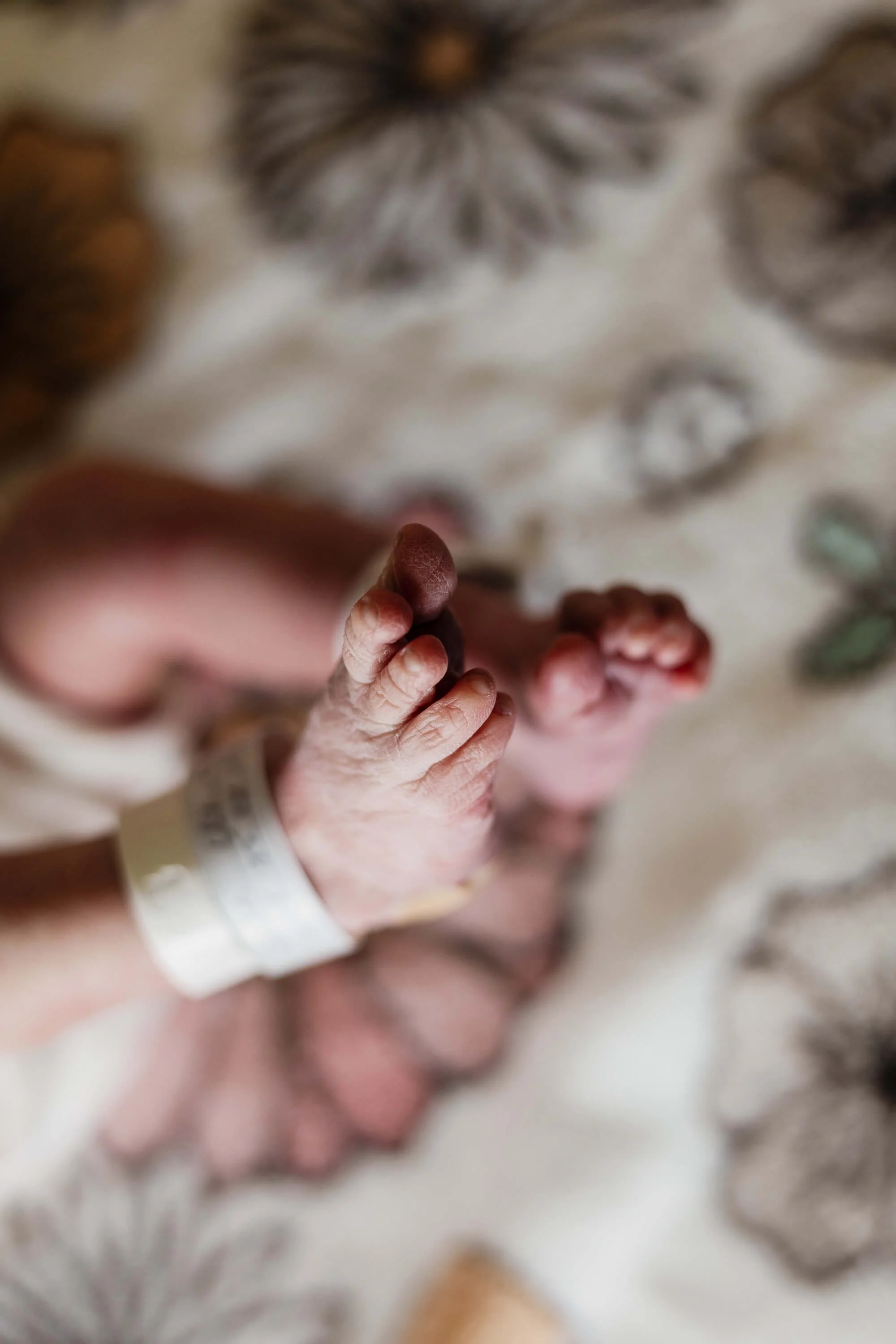 Newborn toes and a hospital tag