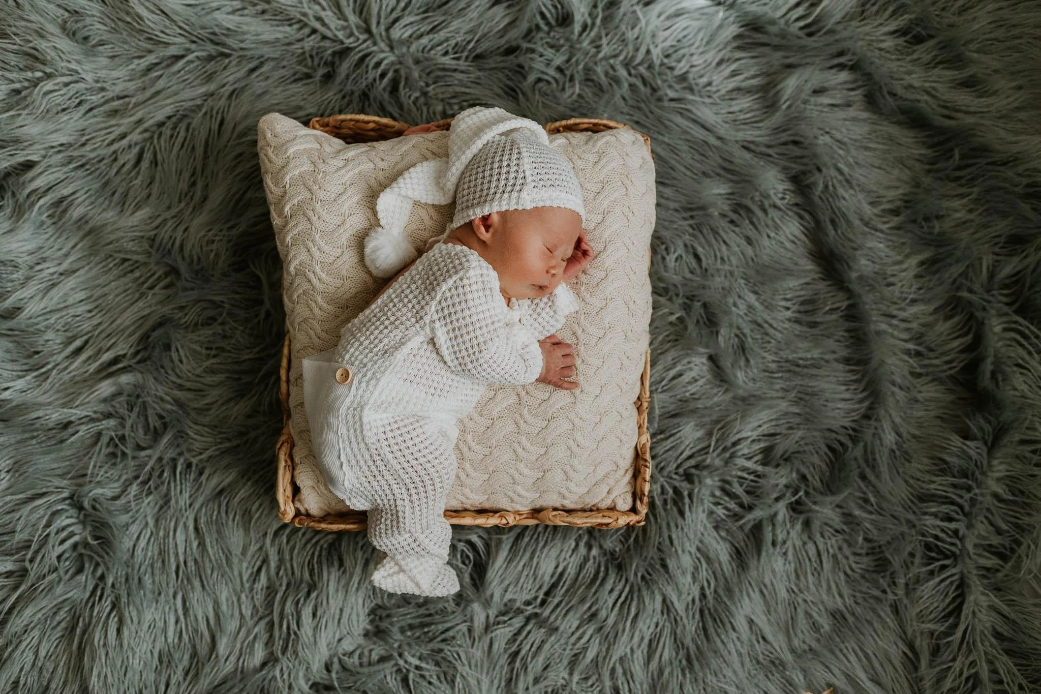 Normal-IL-Newborn-Posed-Liz-Walsh-Photography.jpg