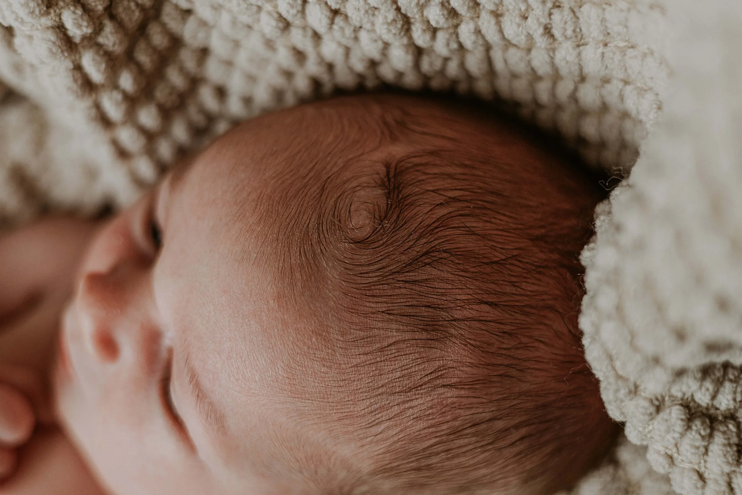 A close up of a newborn's hair swirl at the top of his head