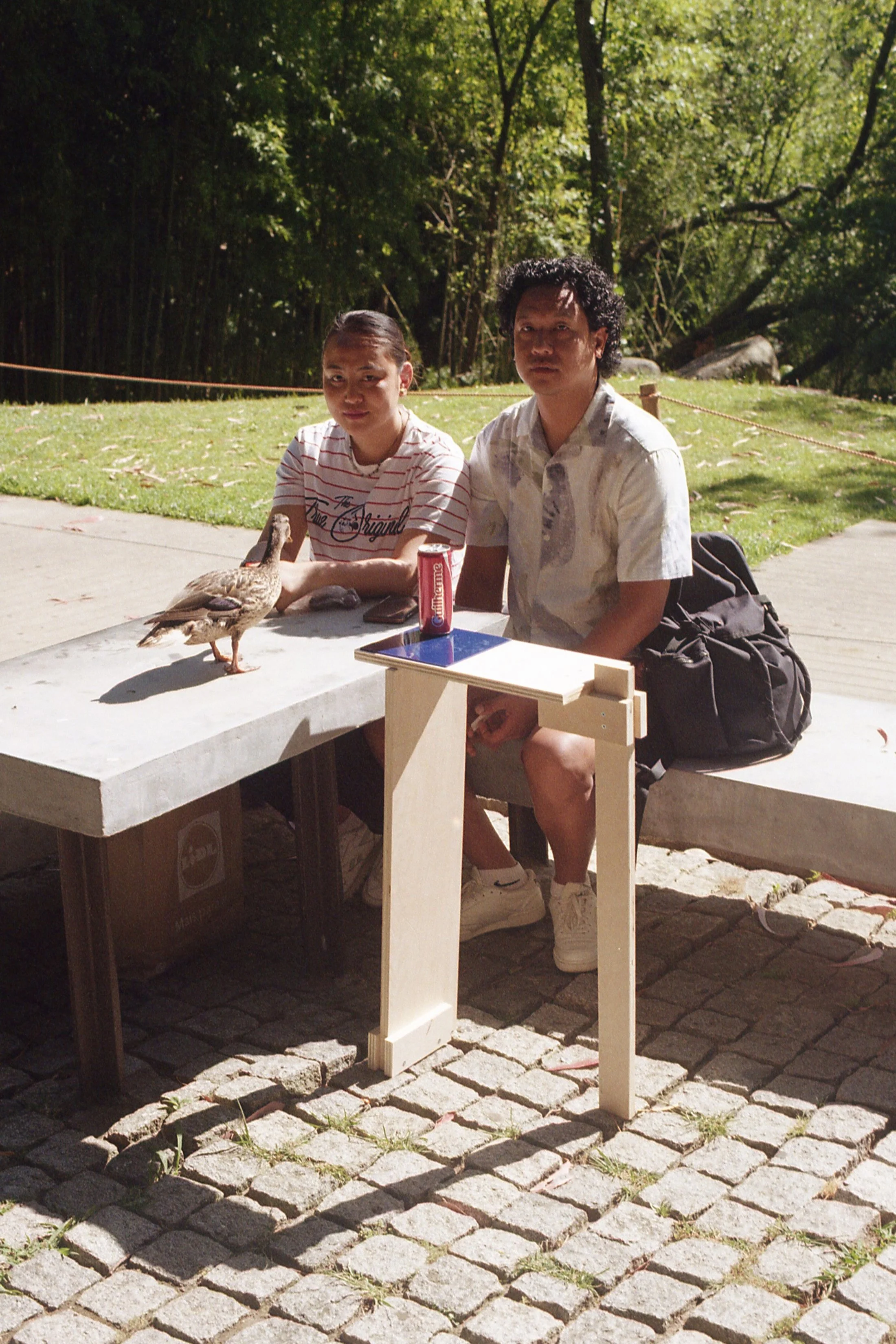 3846-015A.jpg