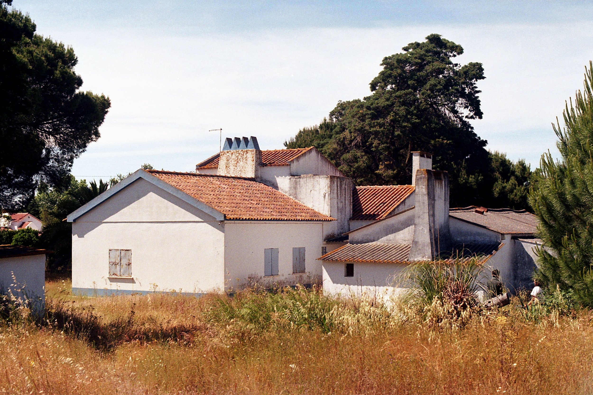 3847-010A.jpg