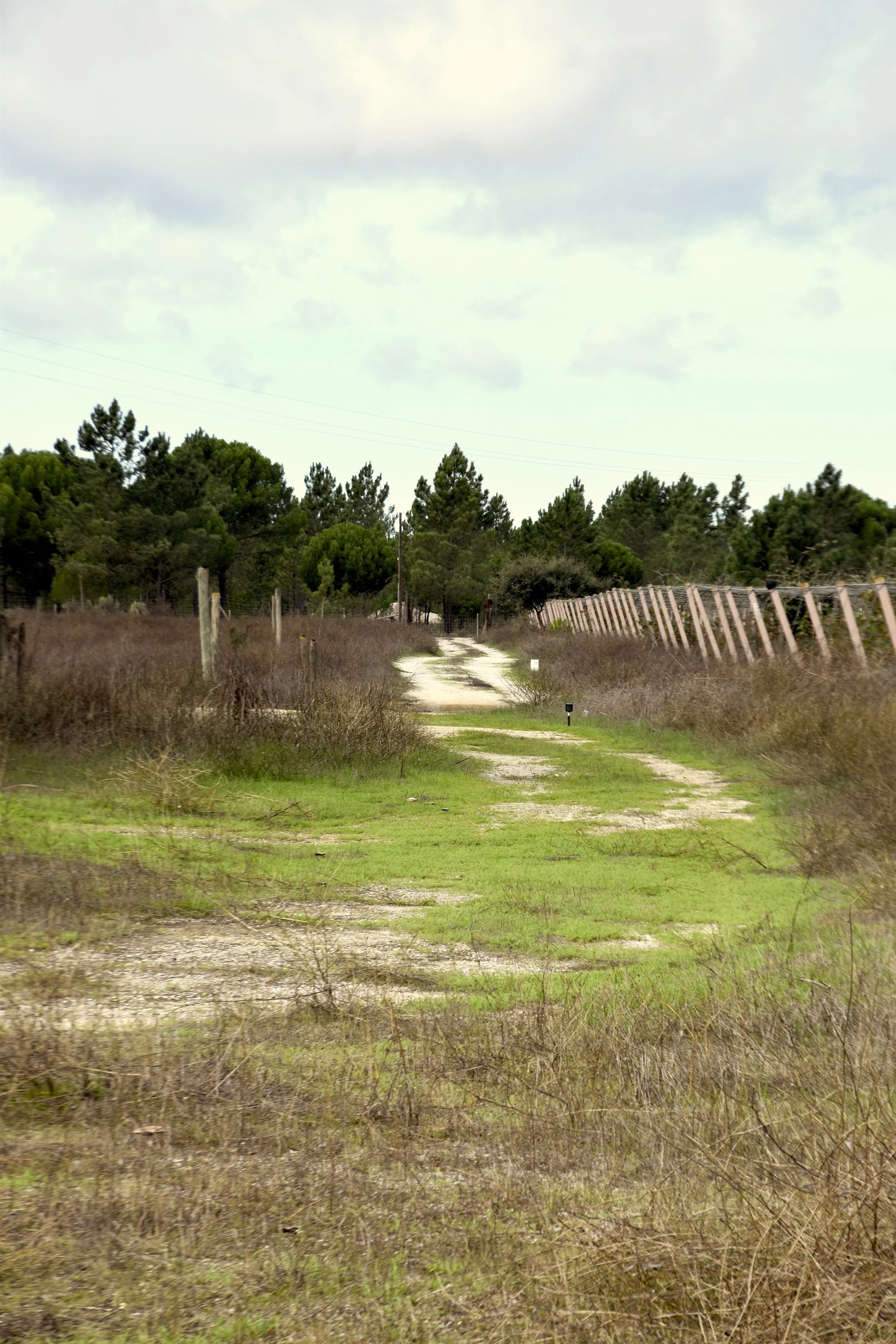 DSC_0052.JPG