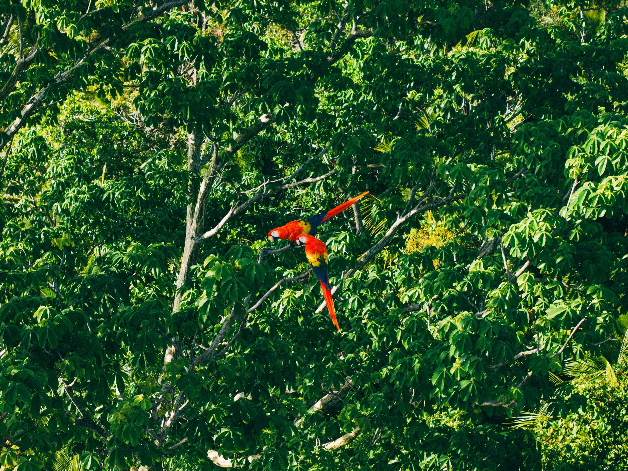 DJI_20260611065816_0280_D.jpg