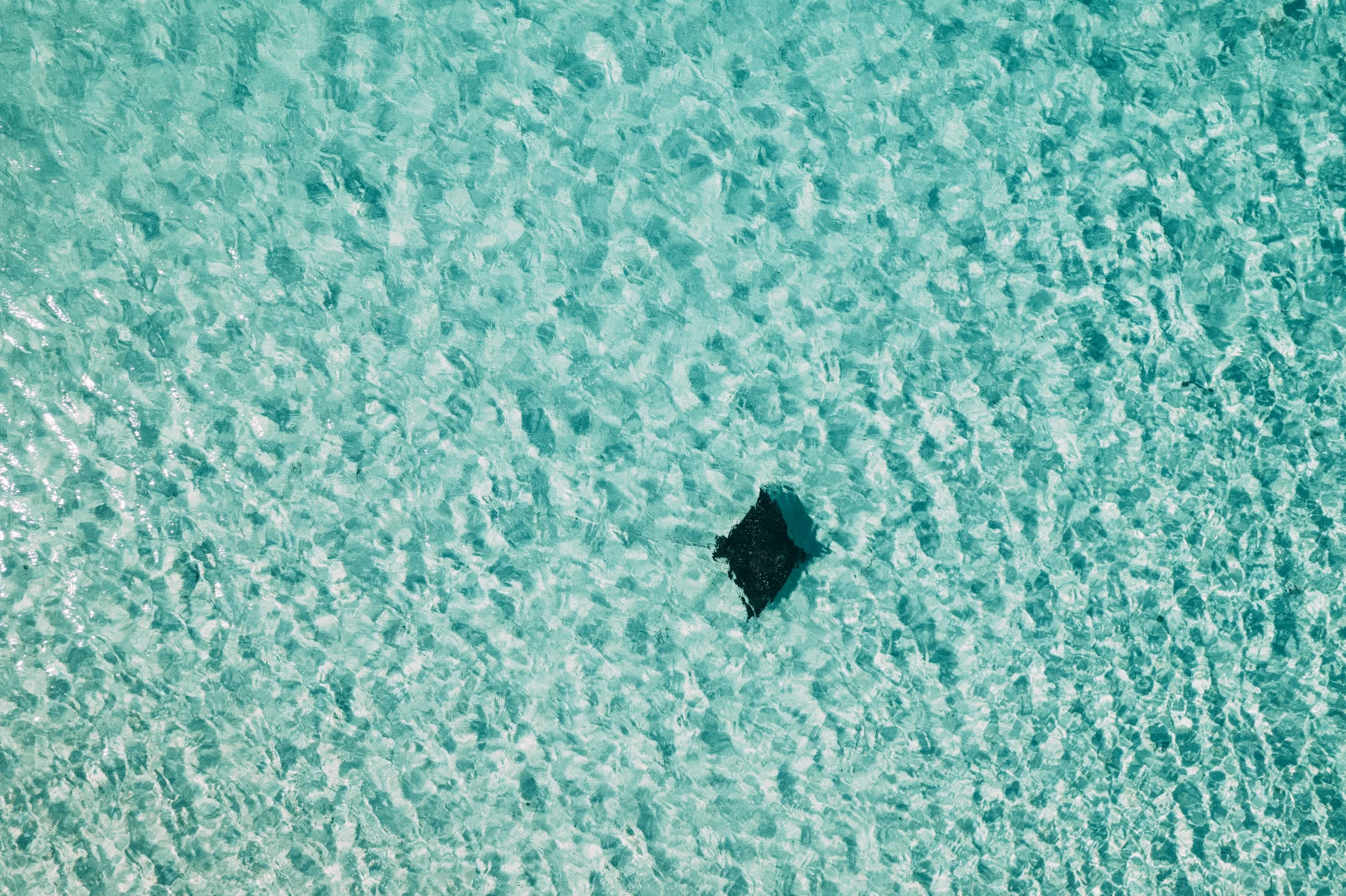 DJI_0444.jpg