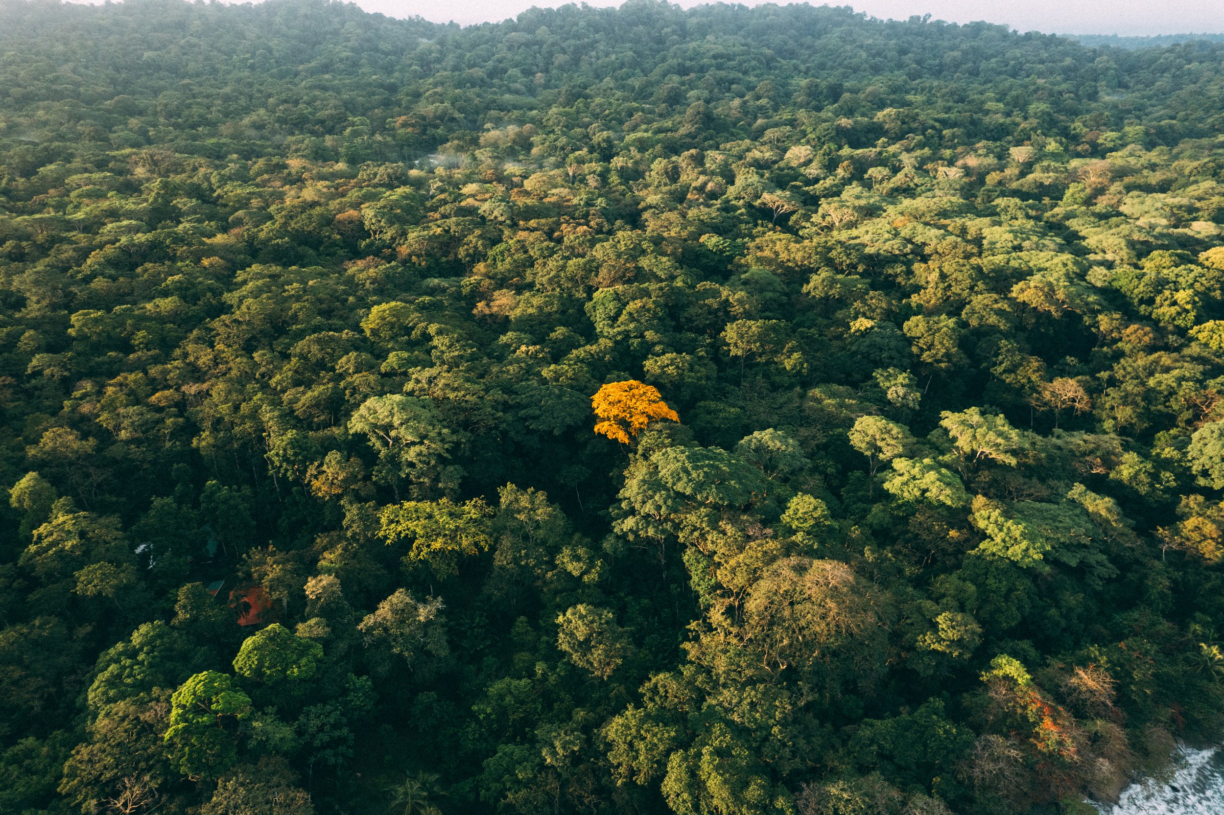 DJI_0255.jpg
