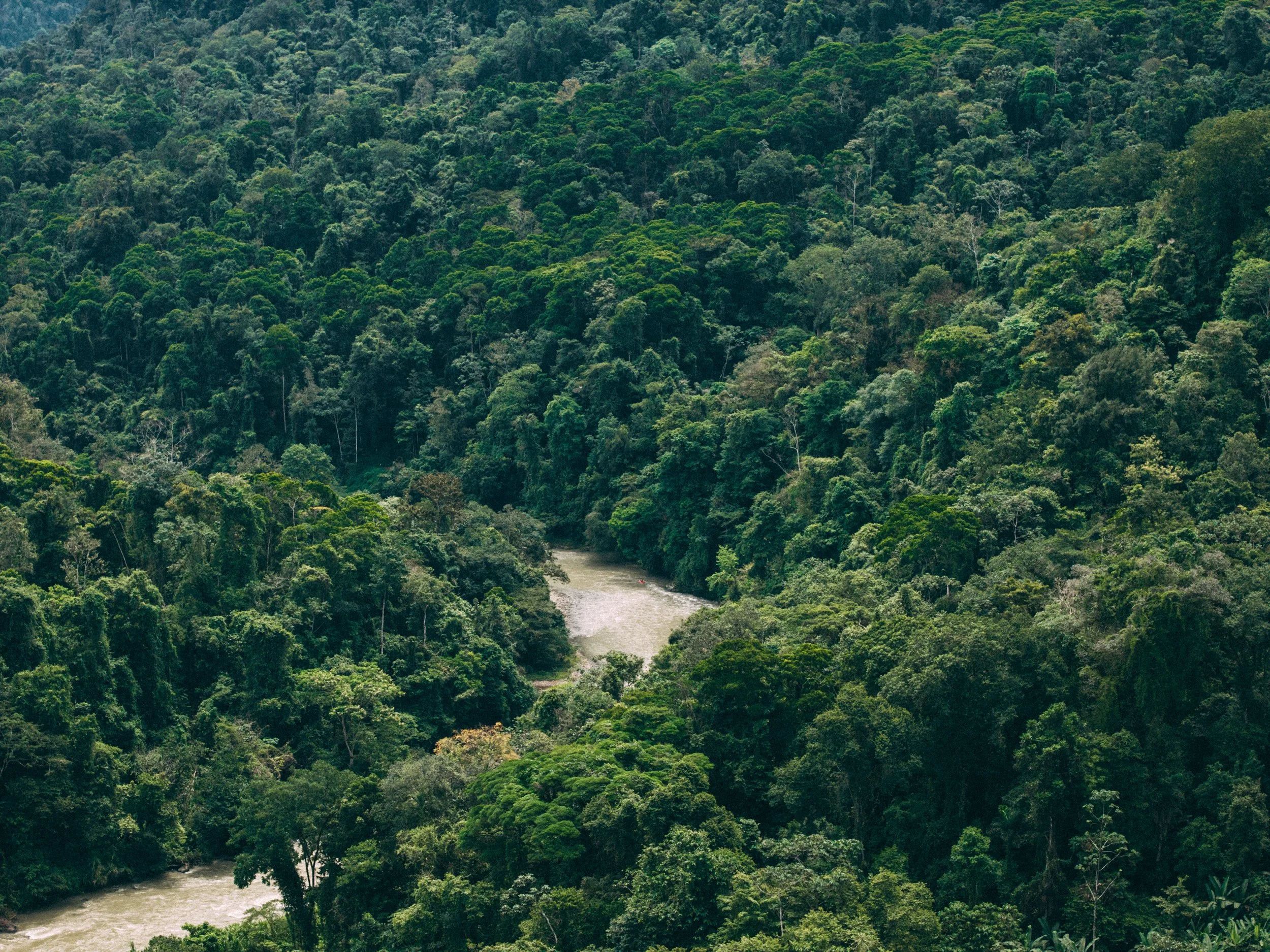 DJI_20260608102834_0119_D.jpg