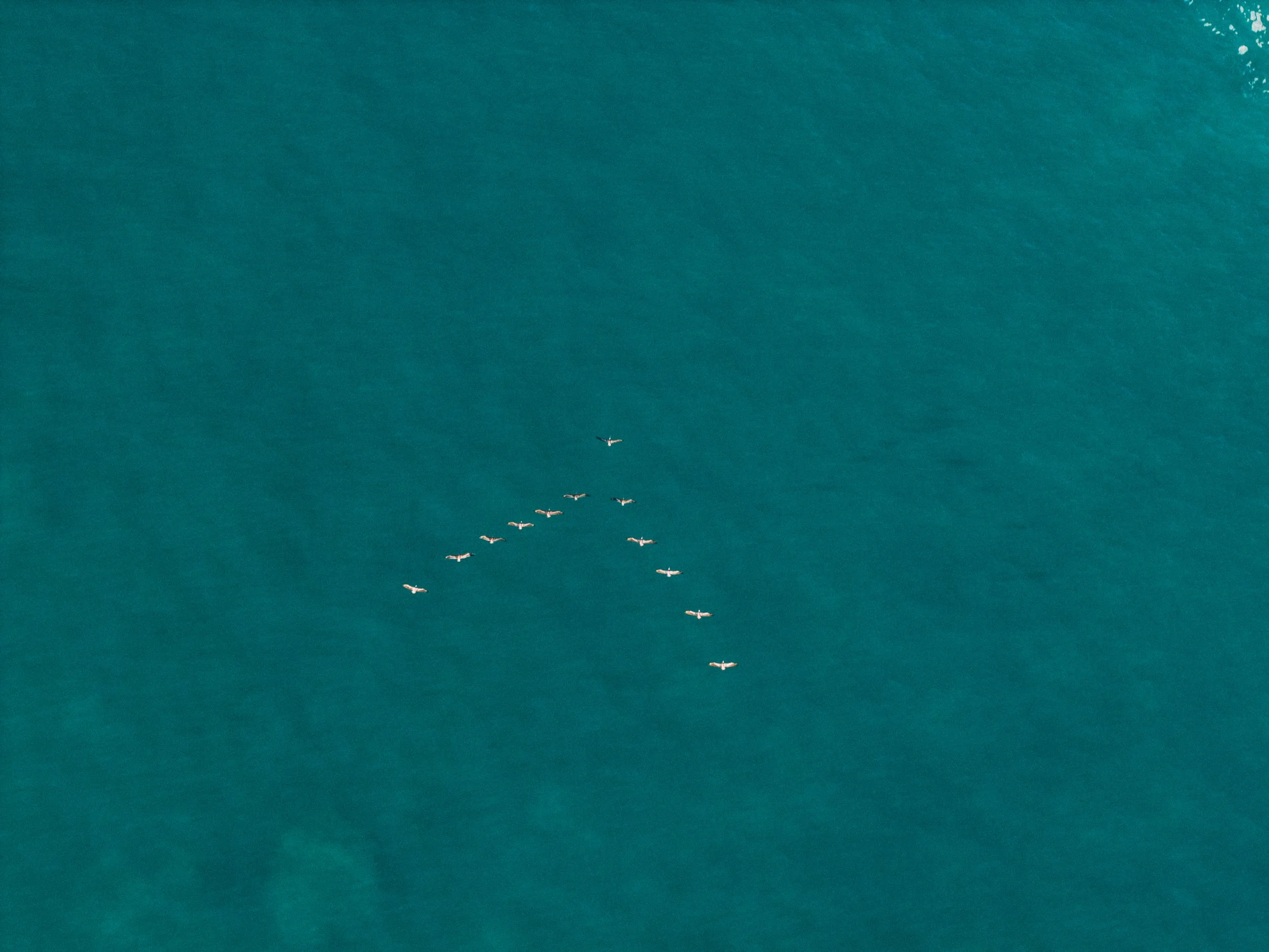 DJI_20260611064837_0261_D.jpg