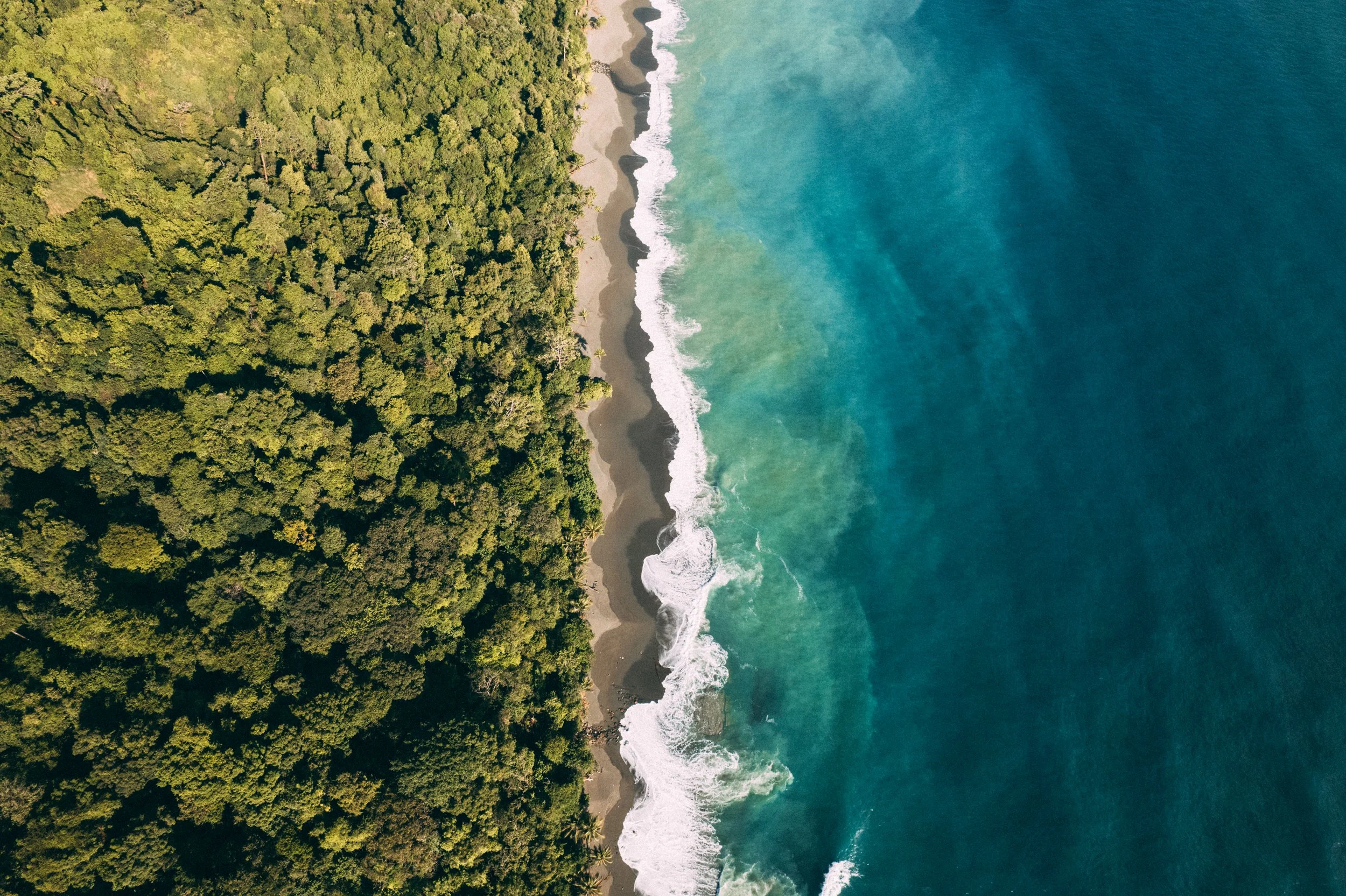 DJI_0360.jpg