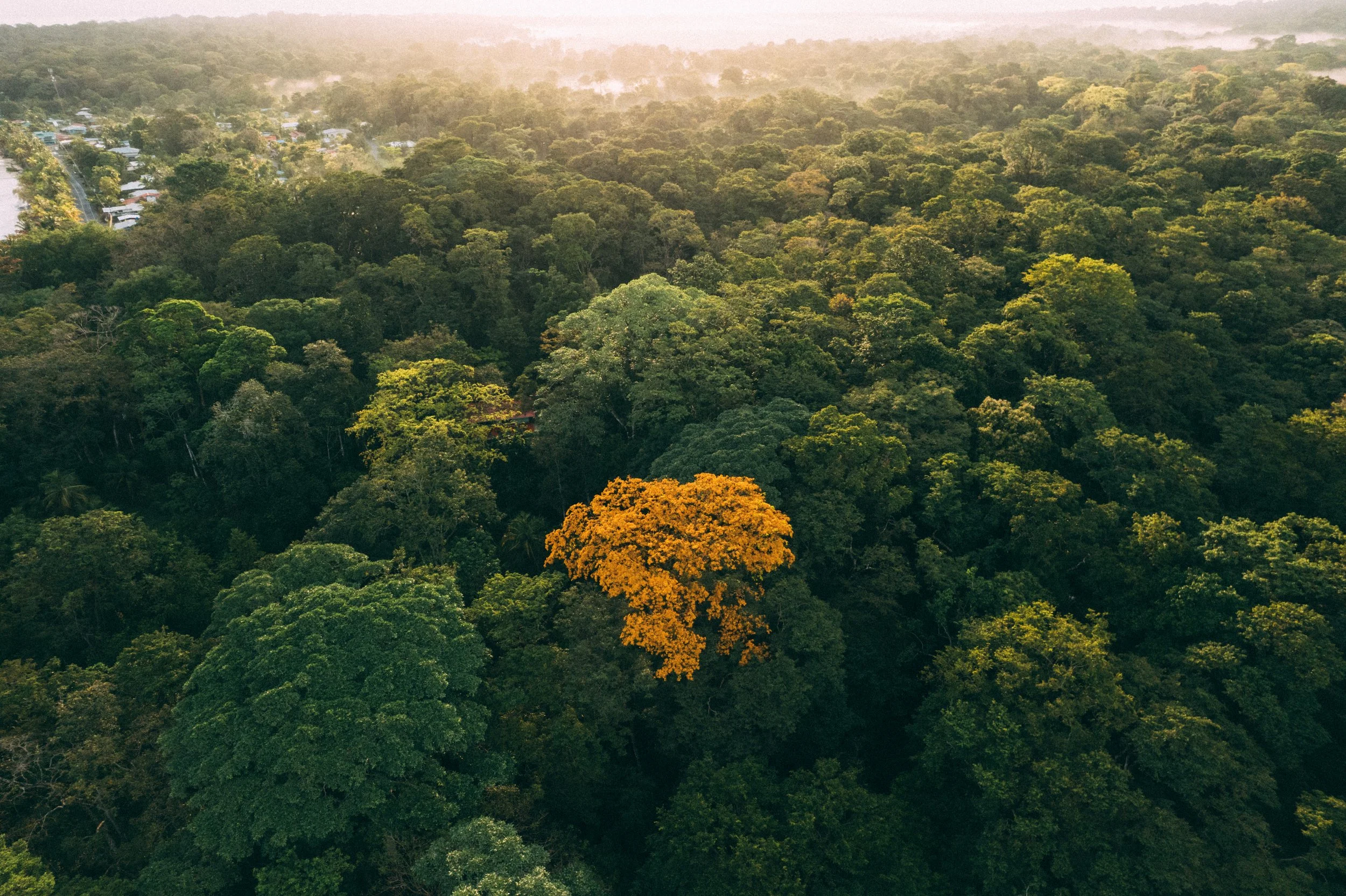 DJI_0258 2.jpg