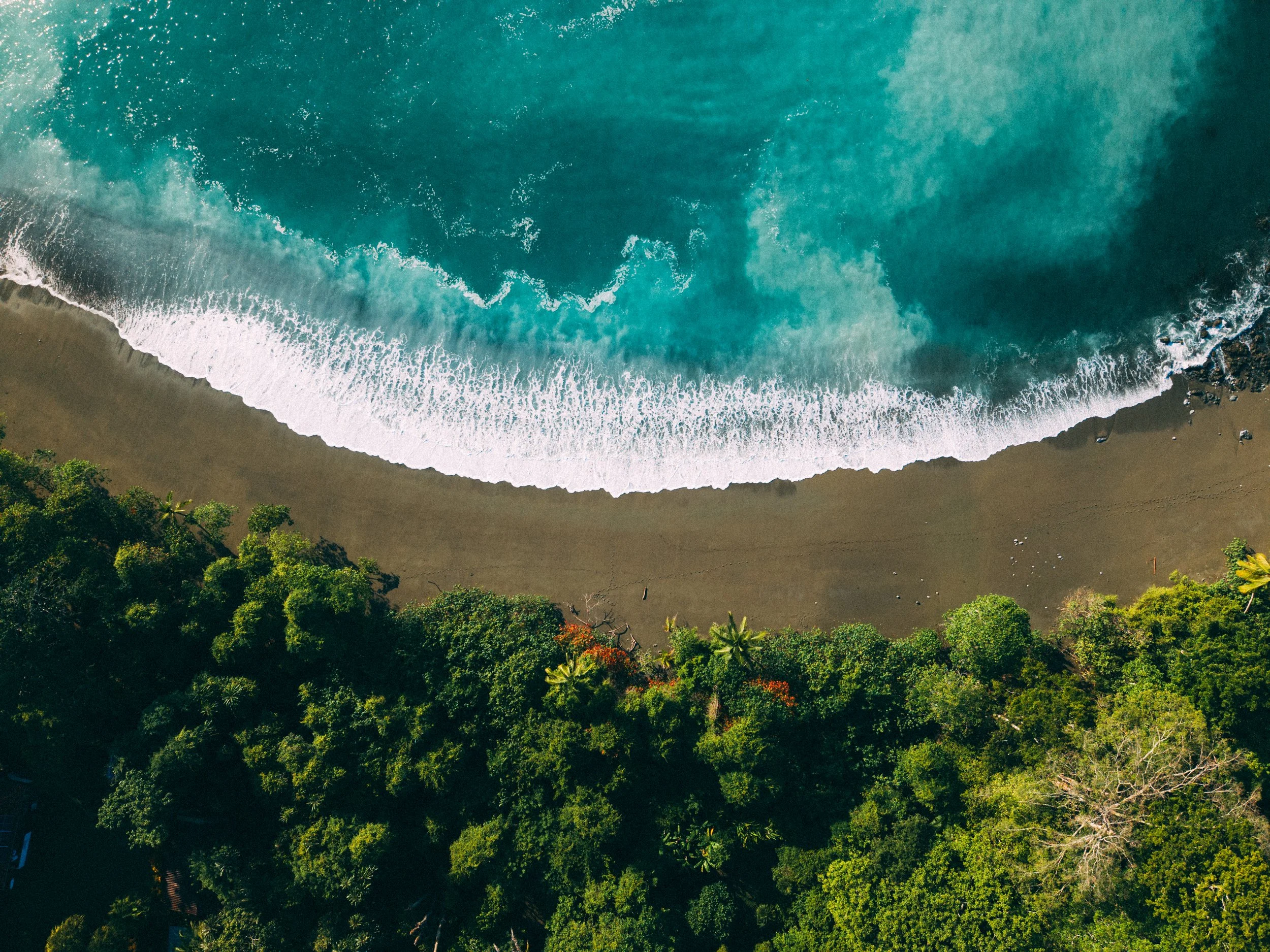 DJI_20260611064156_0244_D.jpg