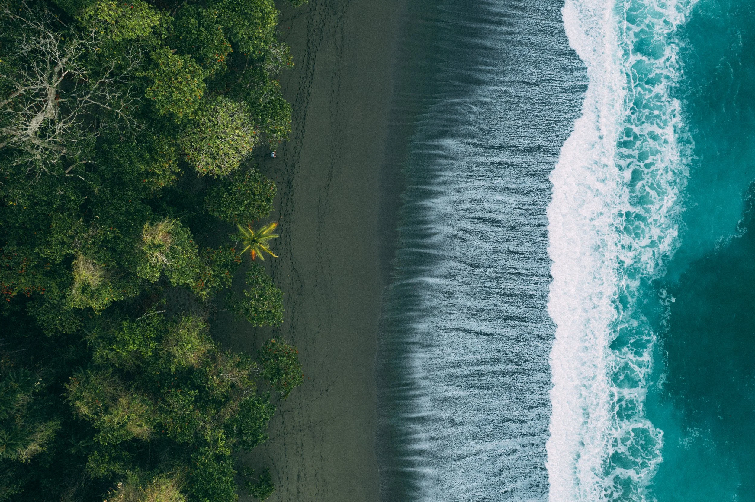 DJI_0154.jpg