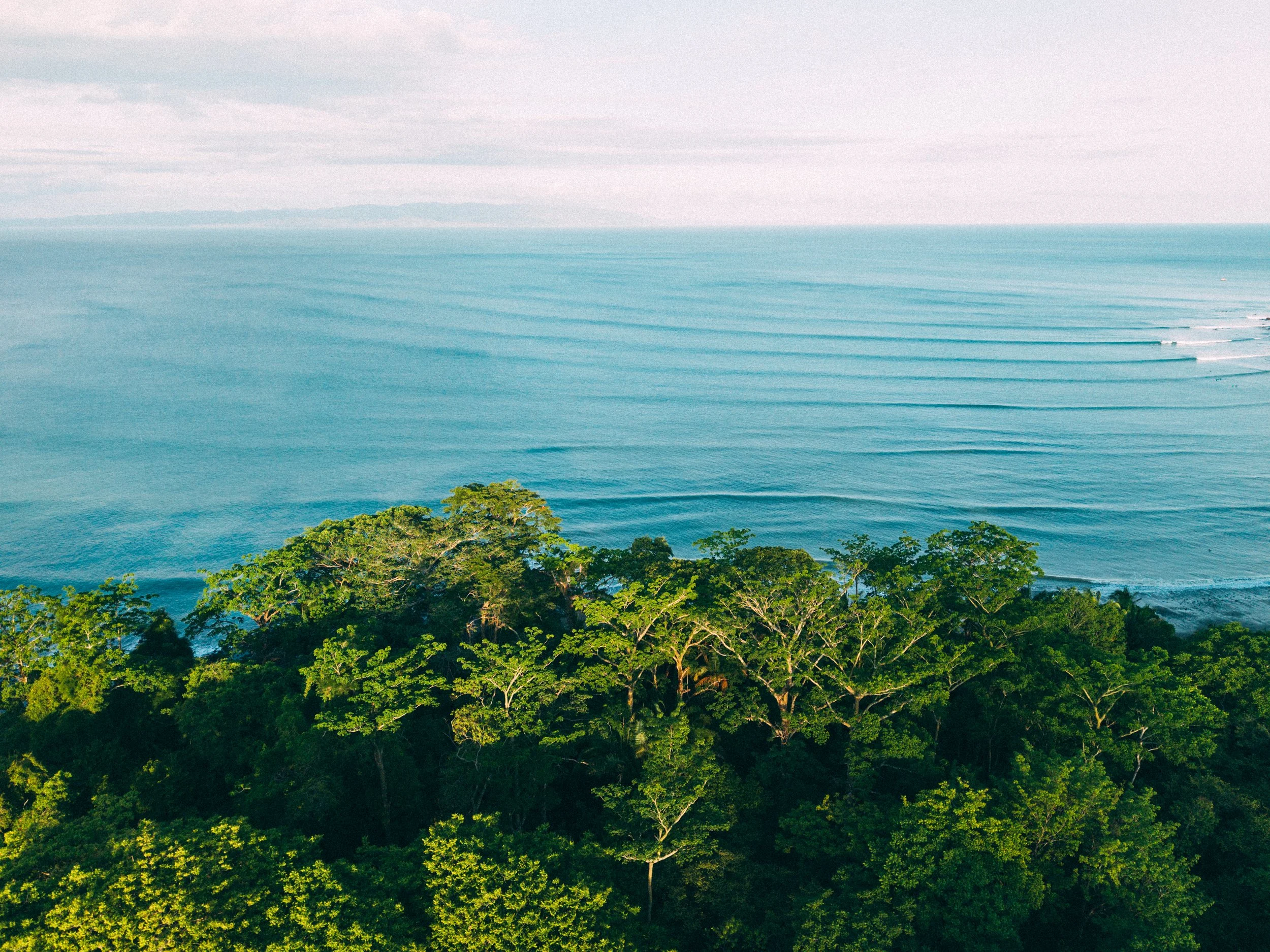 DJI_20260611165344_0290_D.jpg