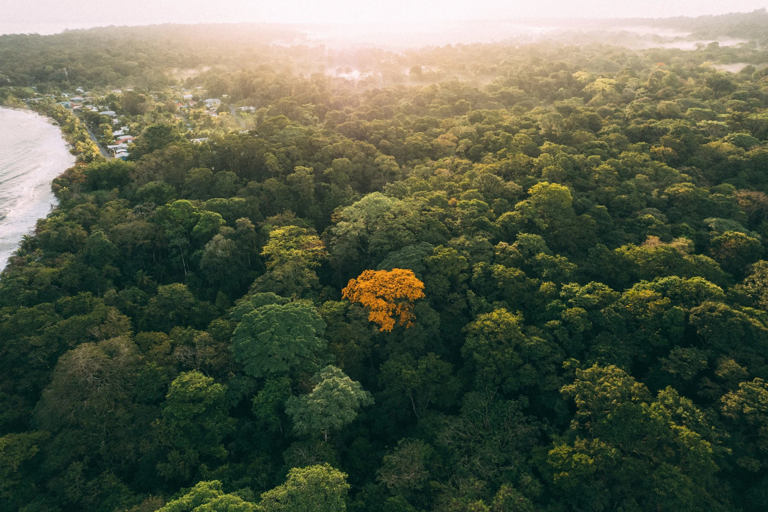 DJI_0257.jpg