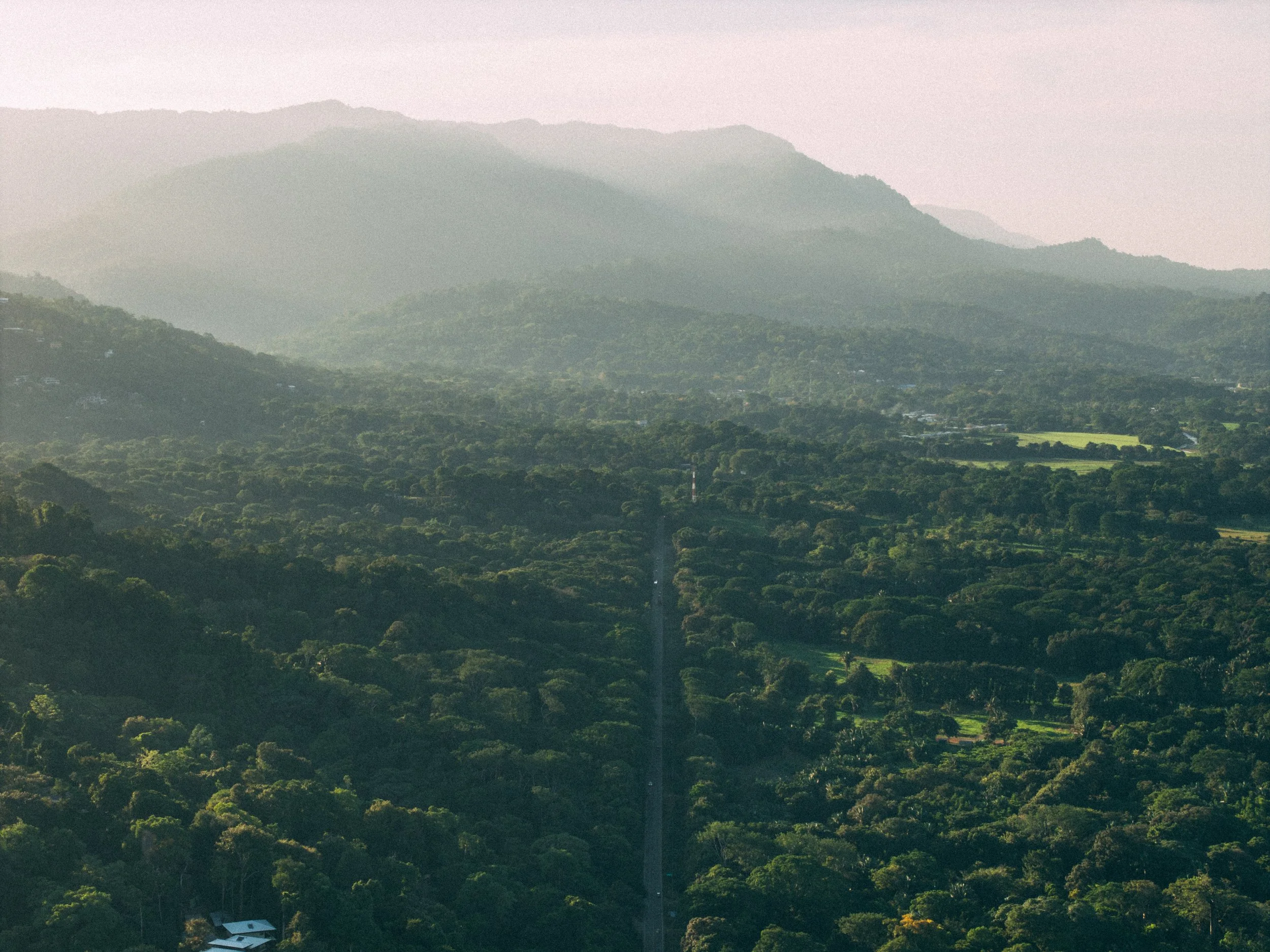DJI_20260709062415_0392_D.jpg