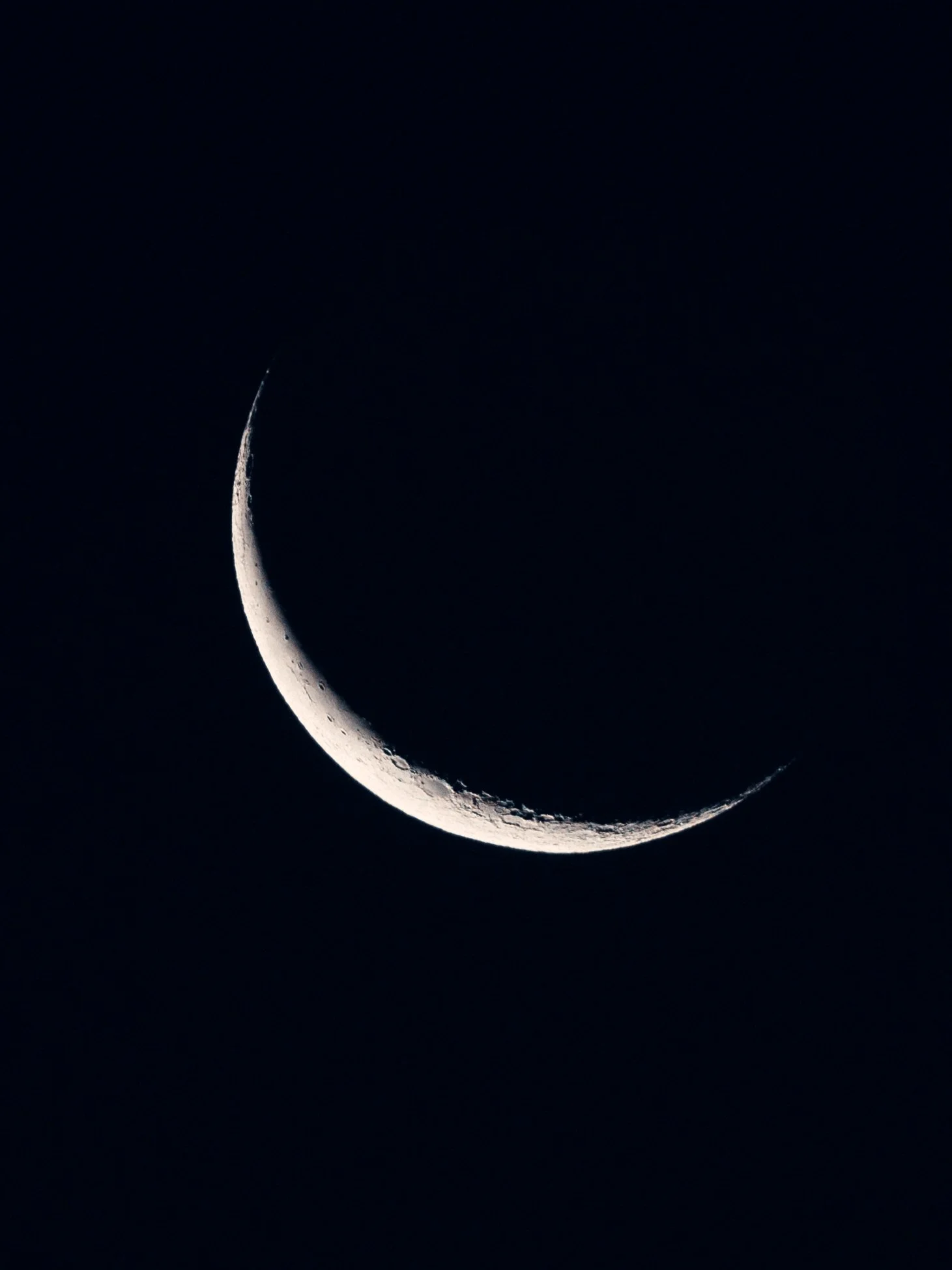 _DSC7852.jpg
