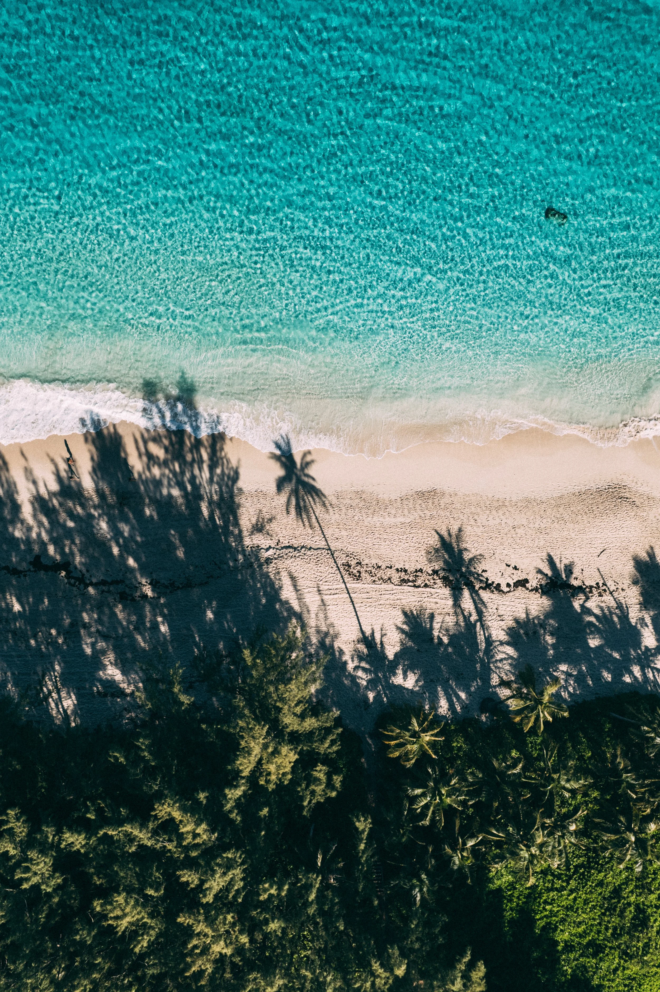 DJI_0428.jpg