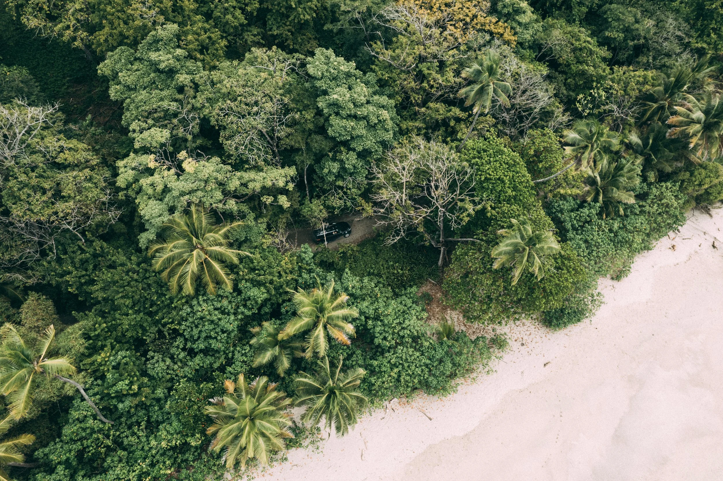 DJI_0191.jpg
