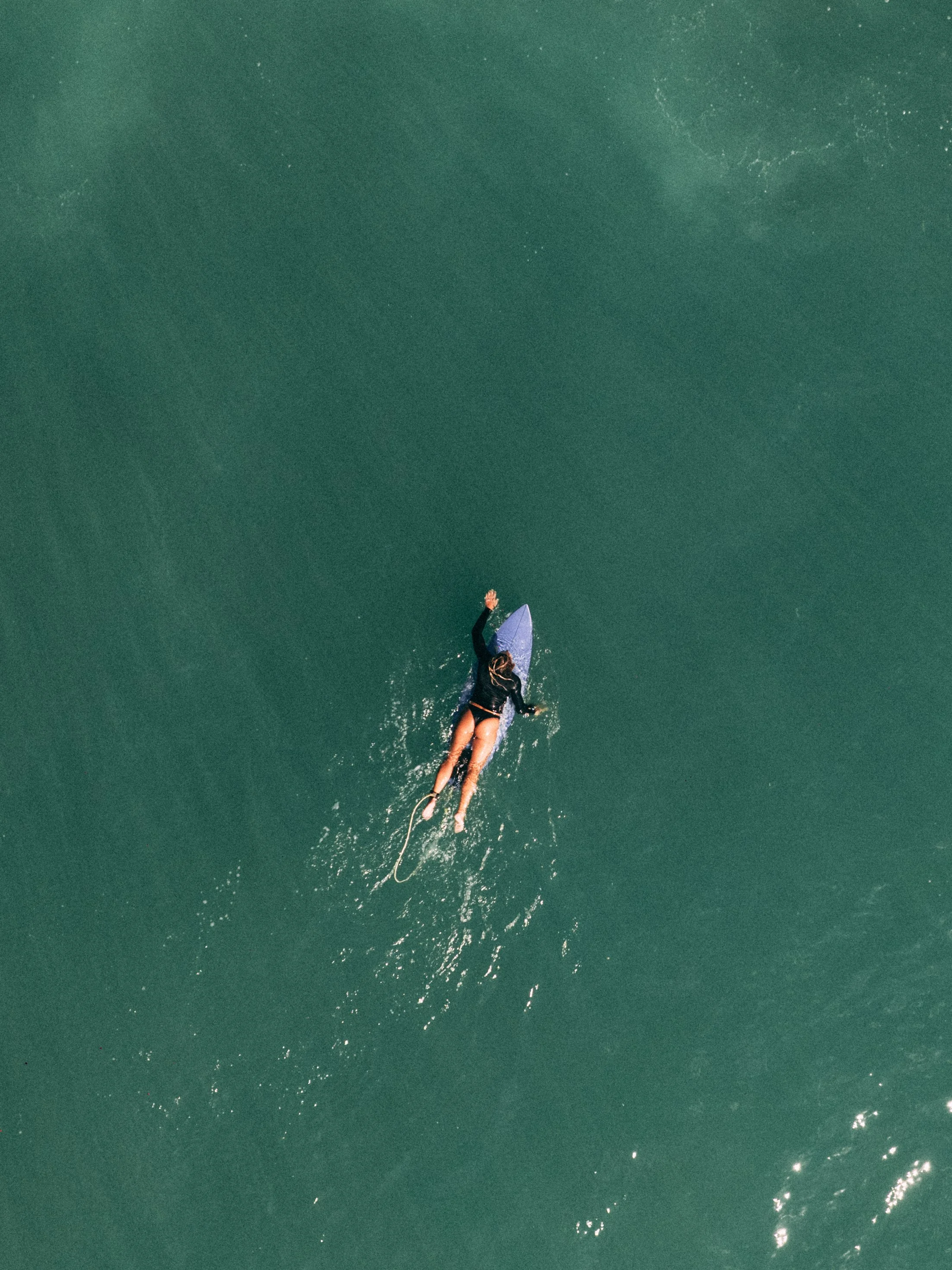 DJI_0177.jpg
