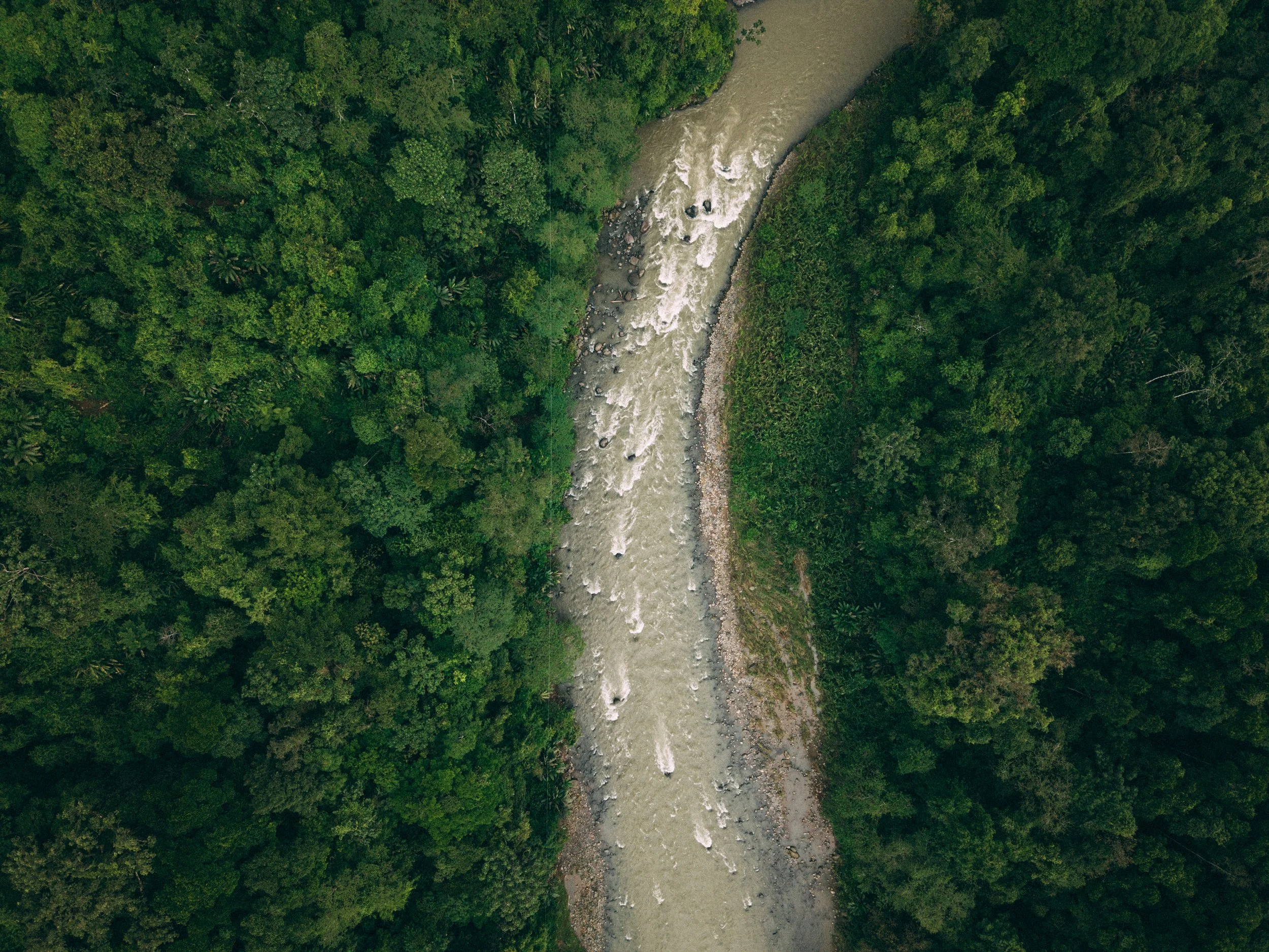 DJI_20260608124055_0151_D.jpg