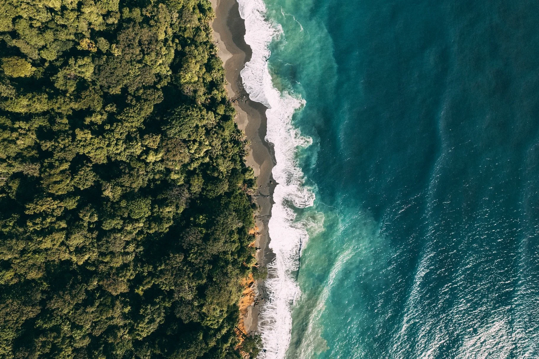 DJI_0357.jpg