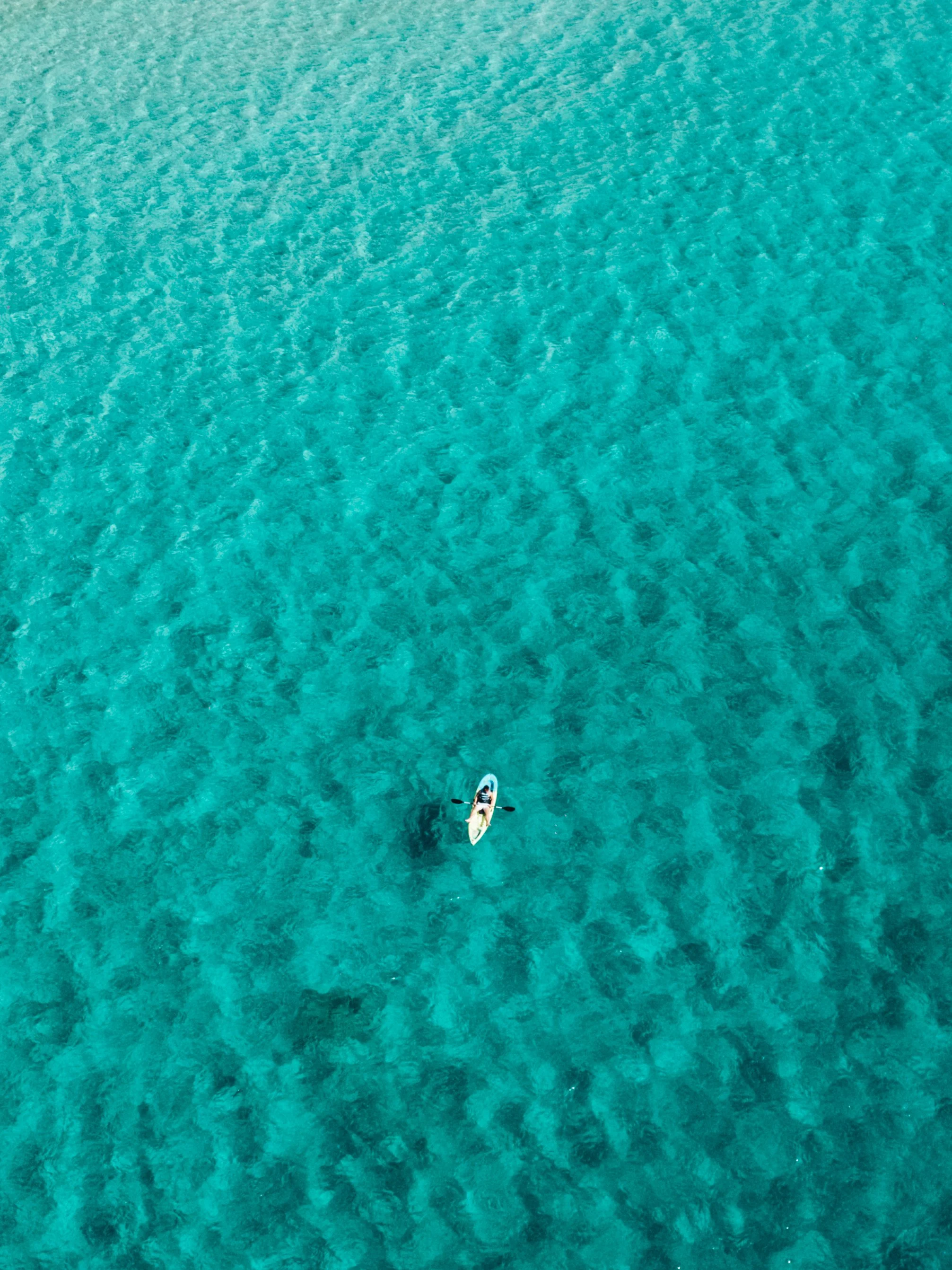 DJI_0372.jpg