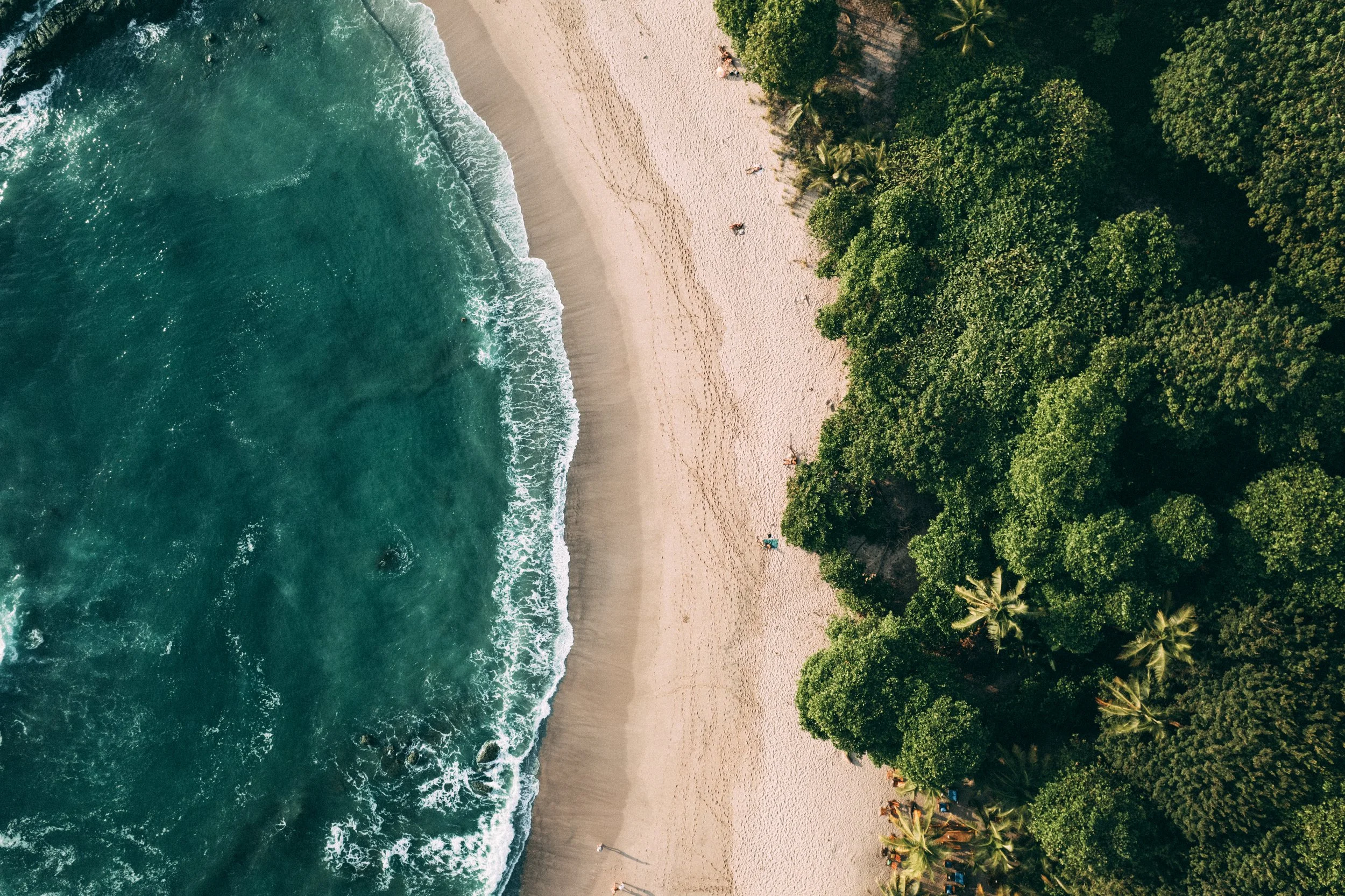 DJI_0230.jpg