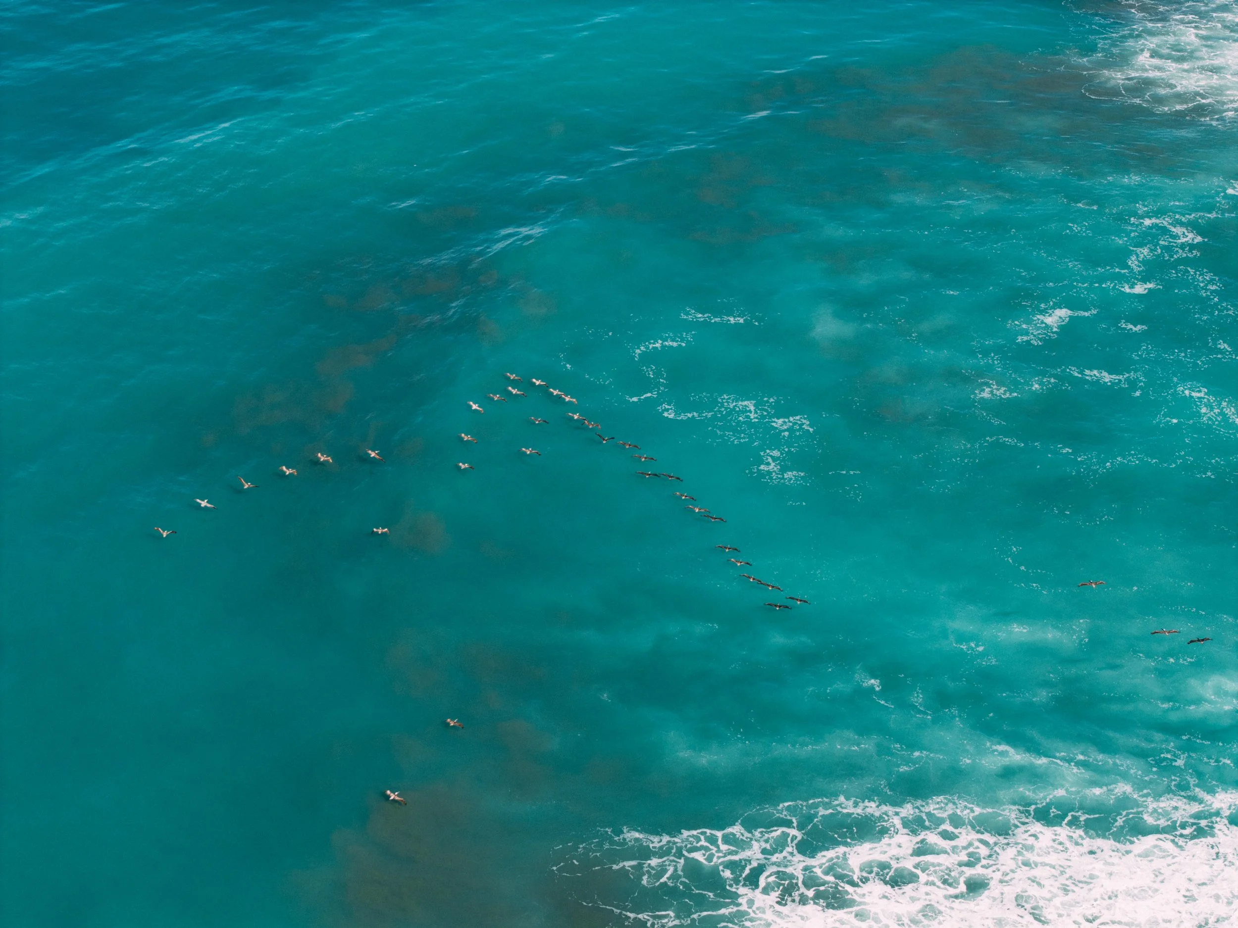 DJI_20260612081934_0097_D.jpg