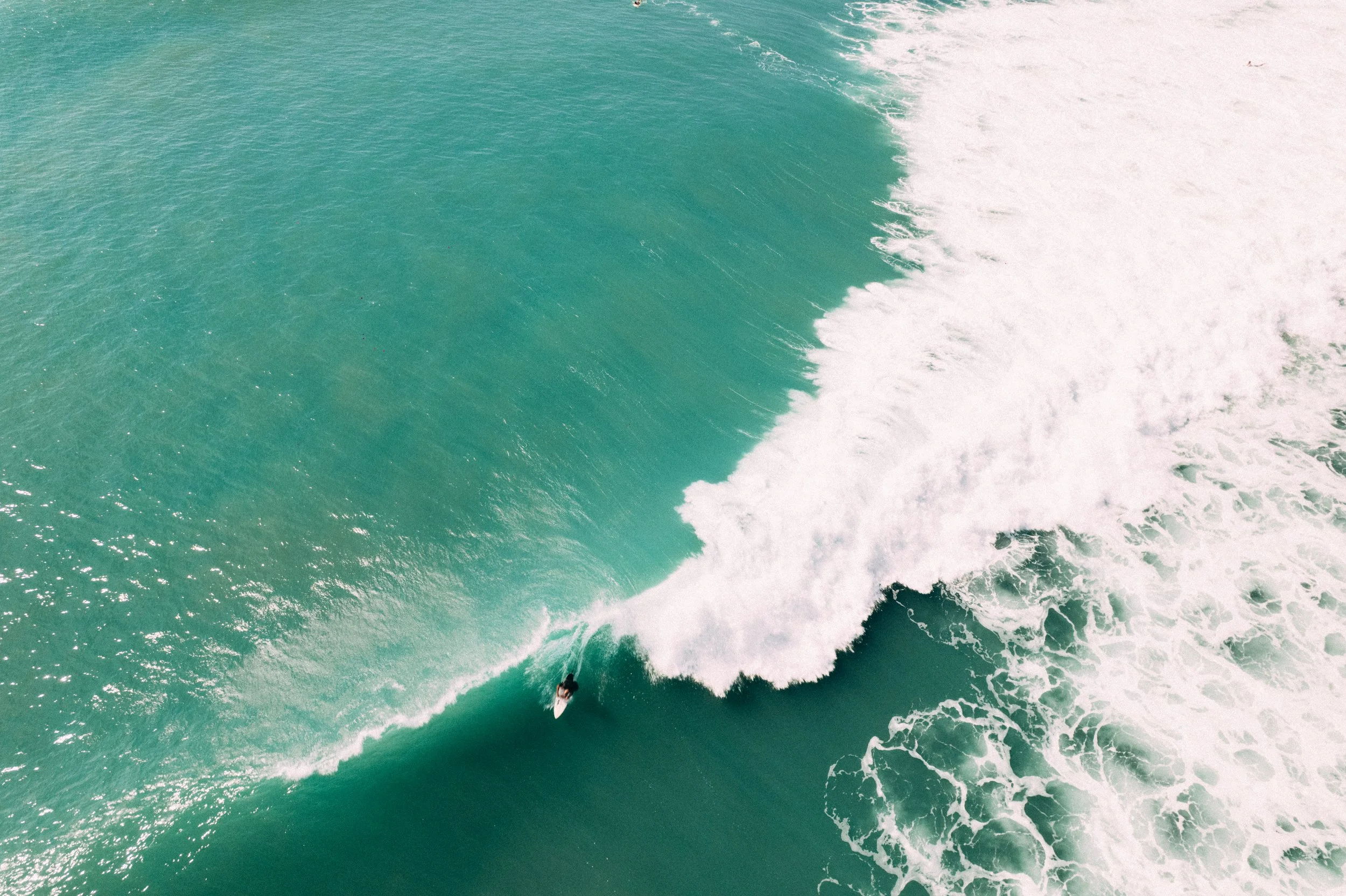 DJI_0207.jpg
