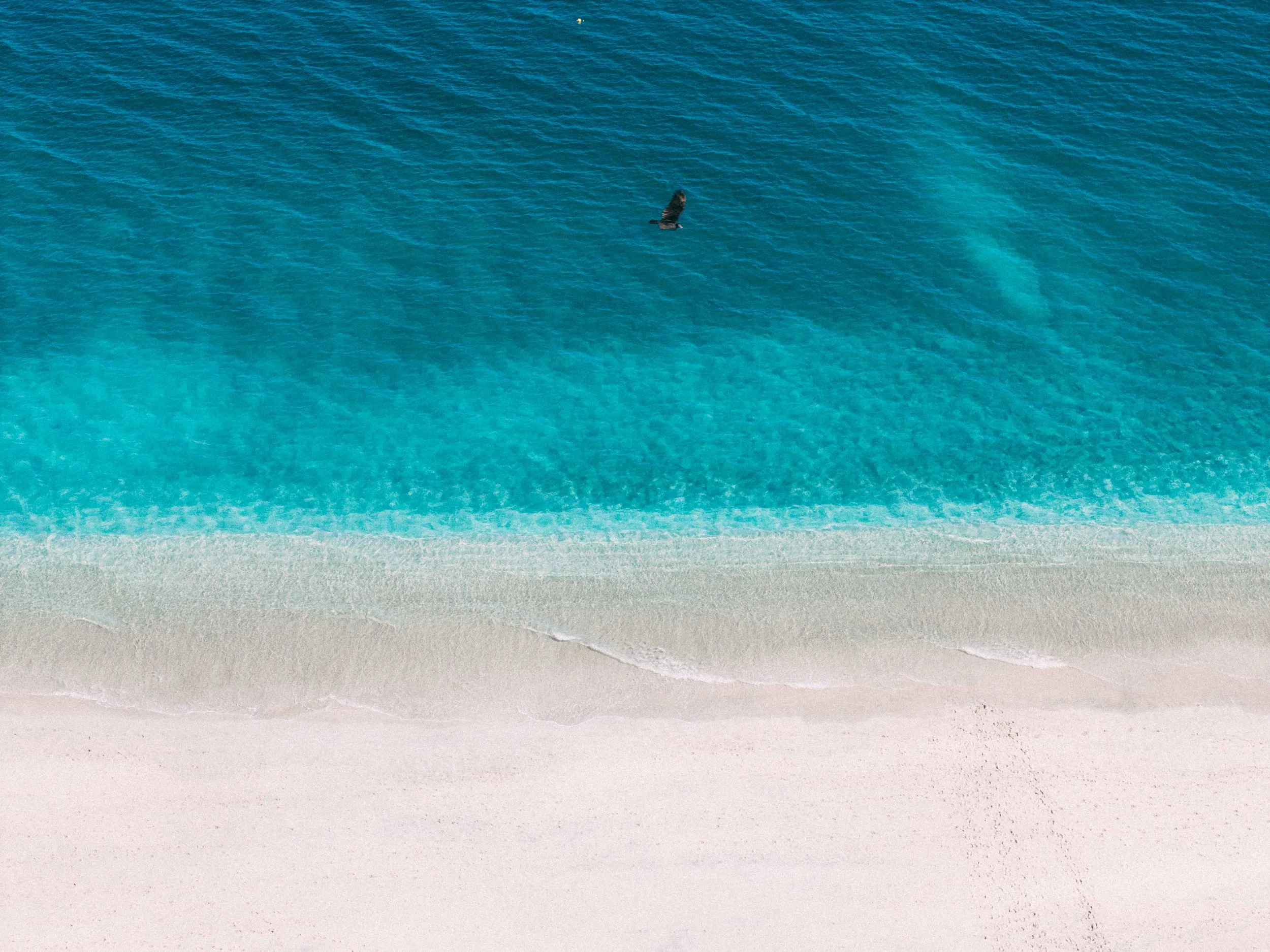 DJI_20260415083542_0206_D.jpg