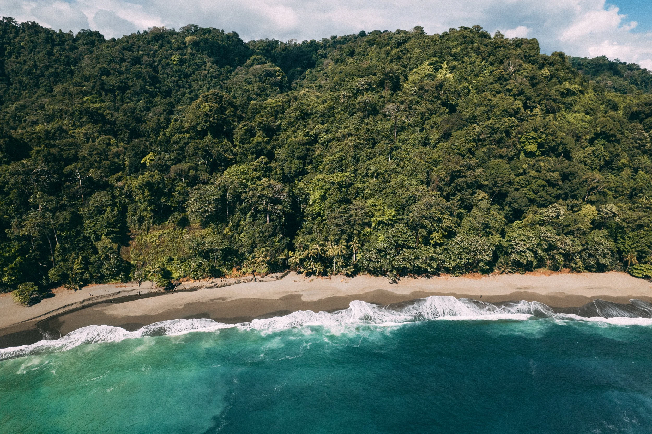 DJI_0312.jpg
