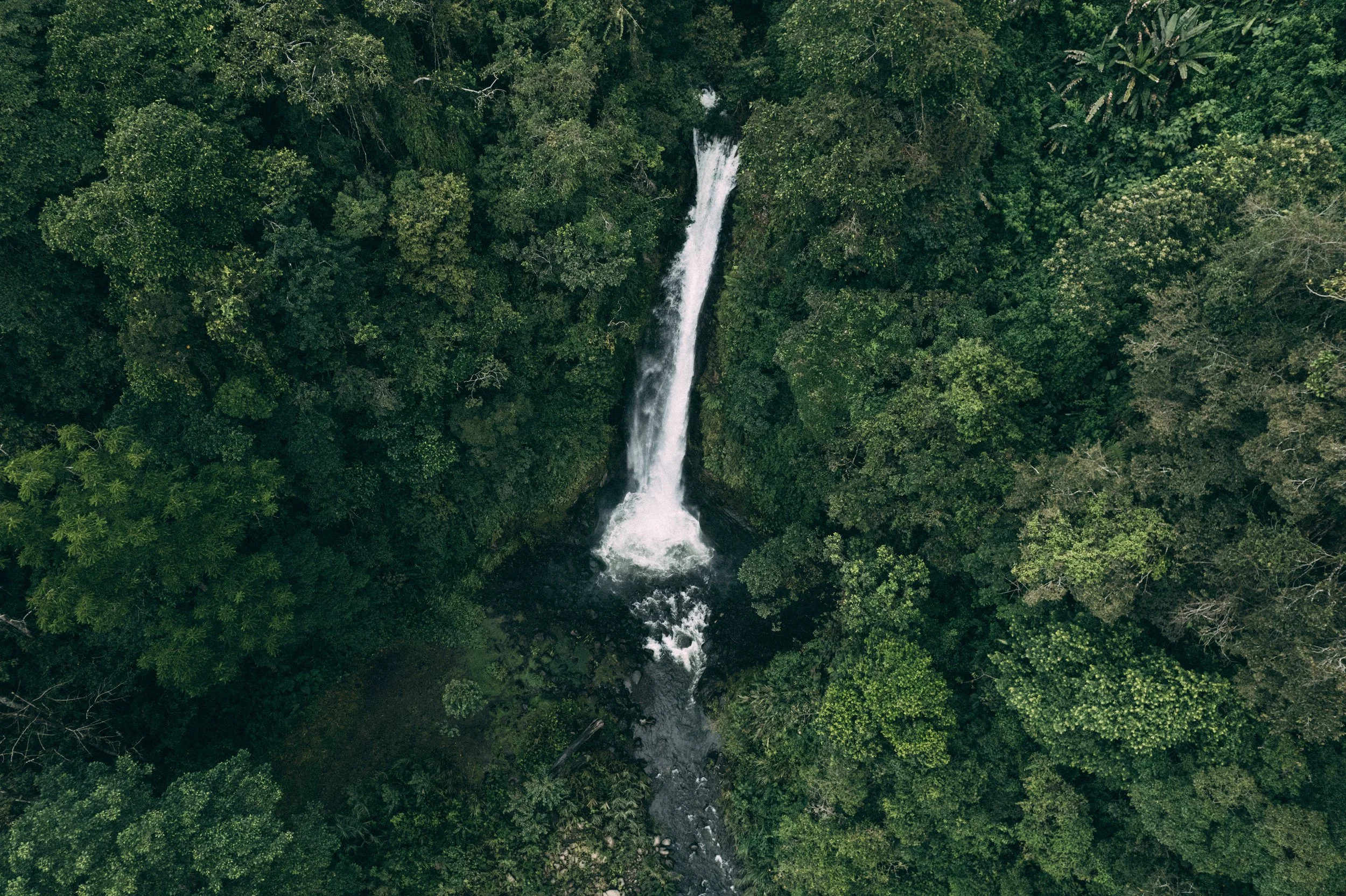 DJI_0899.jpg