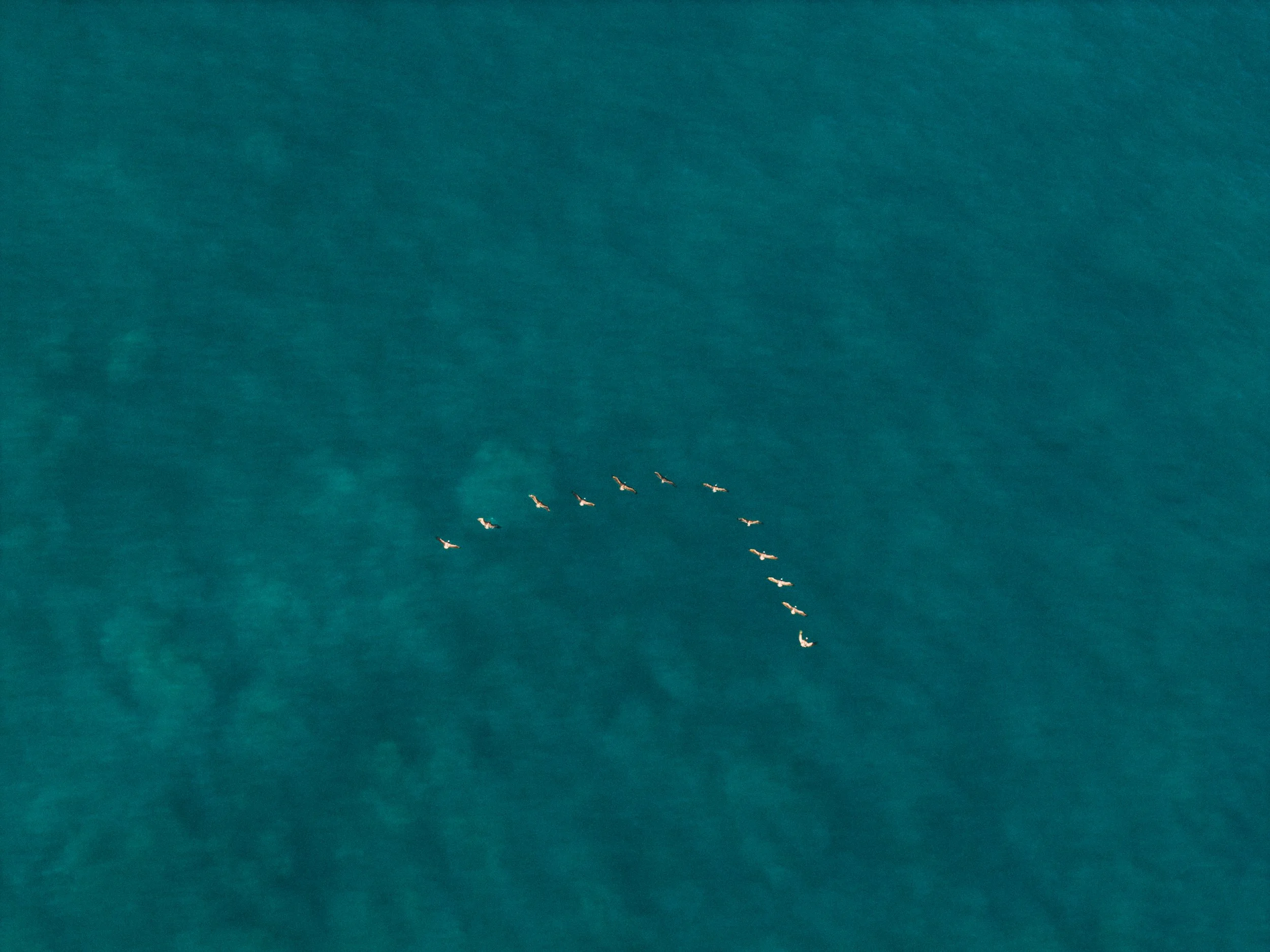 DJI_20260611064834_0260_D.jpg