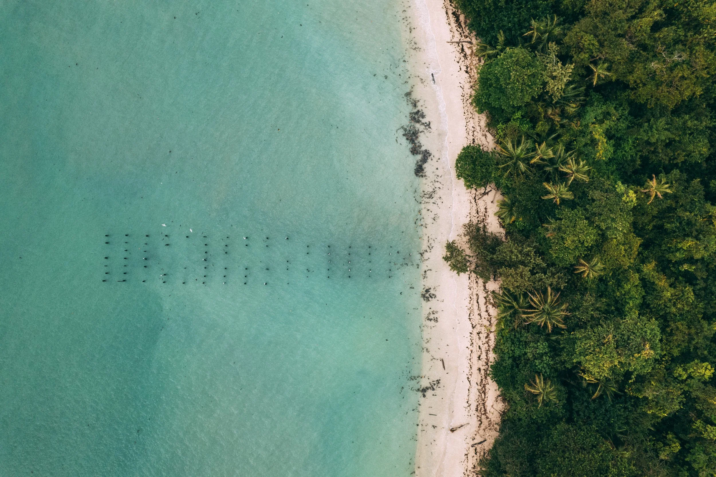 DJI_0311.jpg