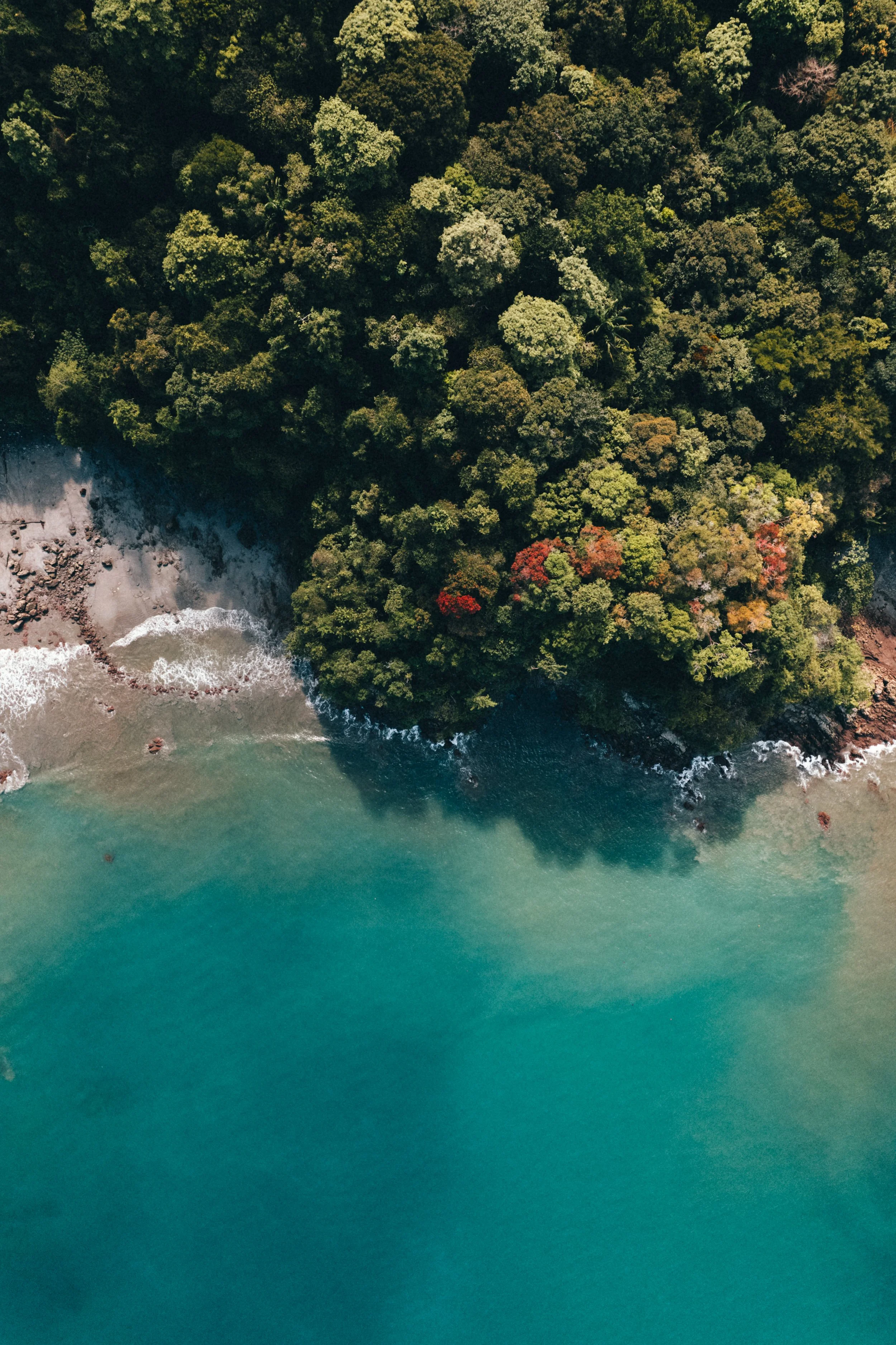DJI_0011.jpg