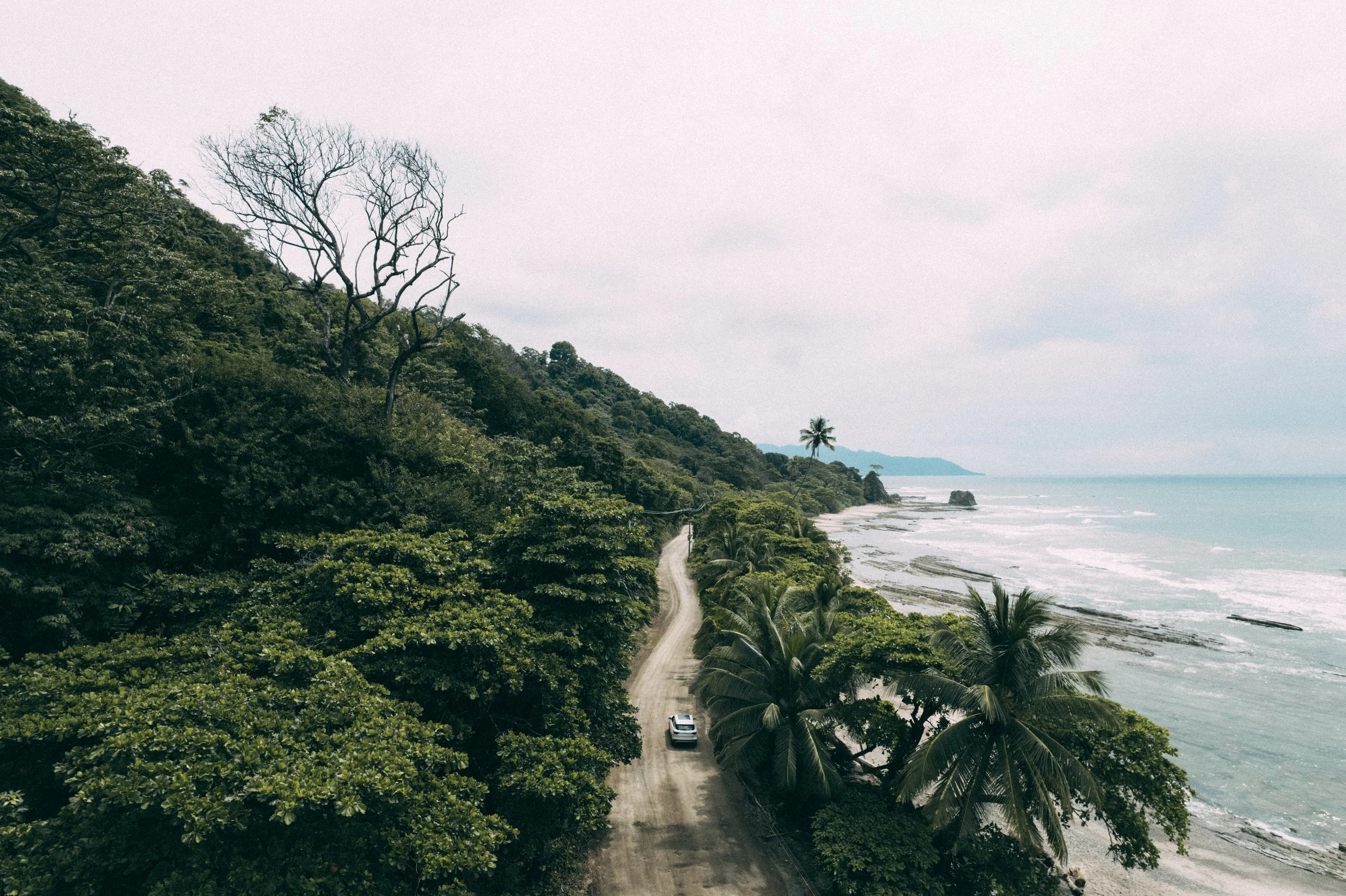 DJI_0203.jpg
