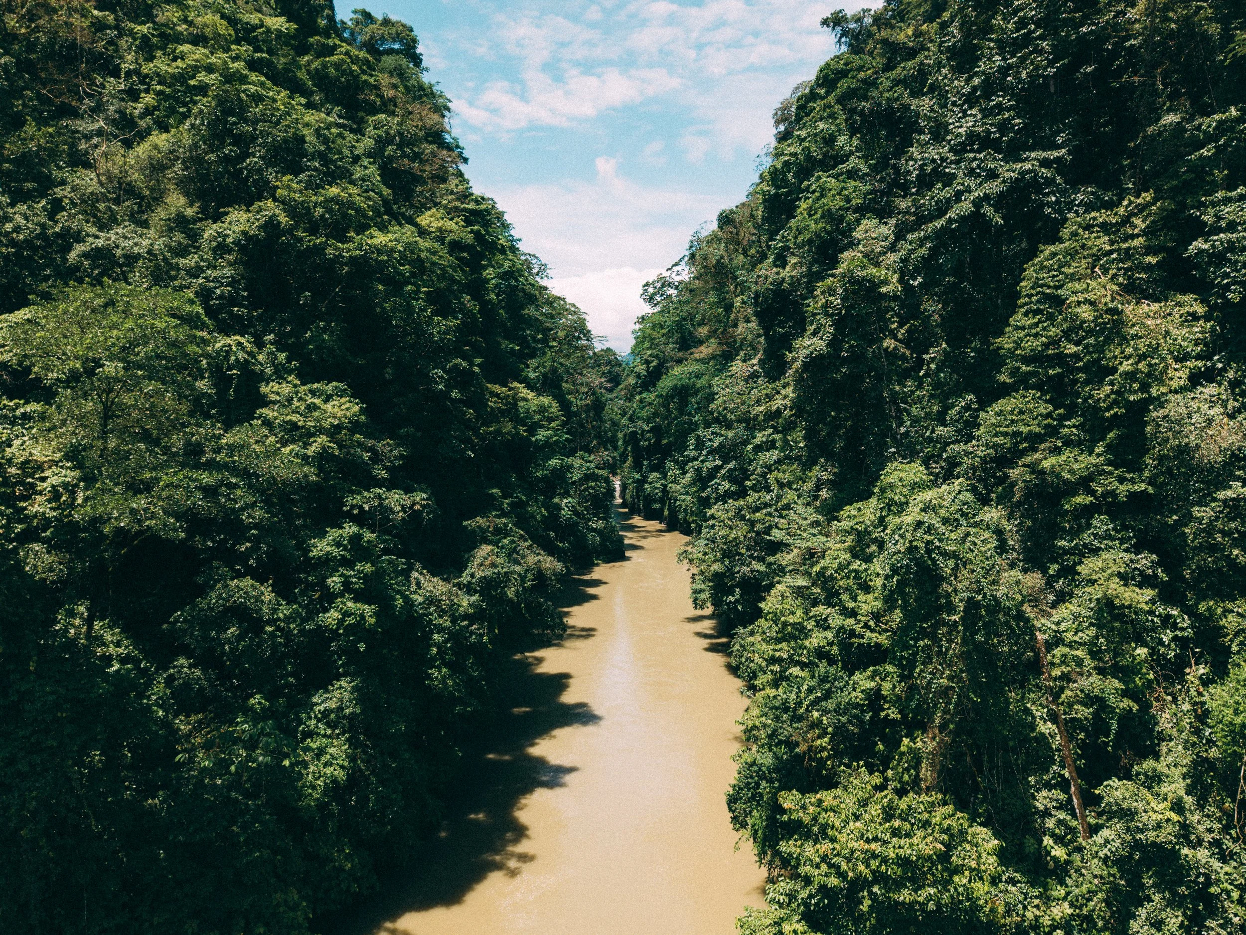 DJI_20260610105254_0228_D.jpg